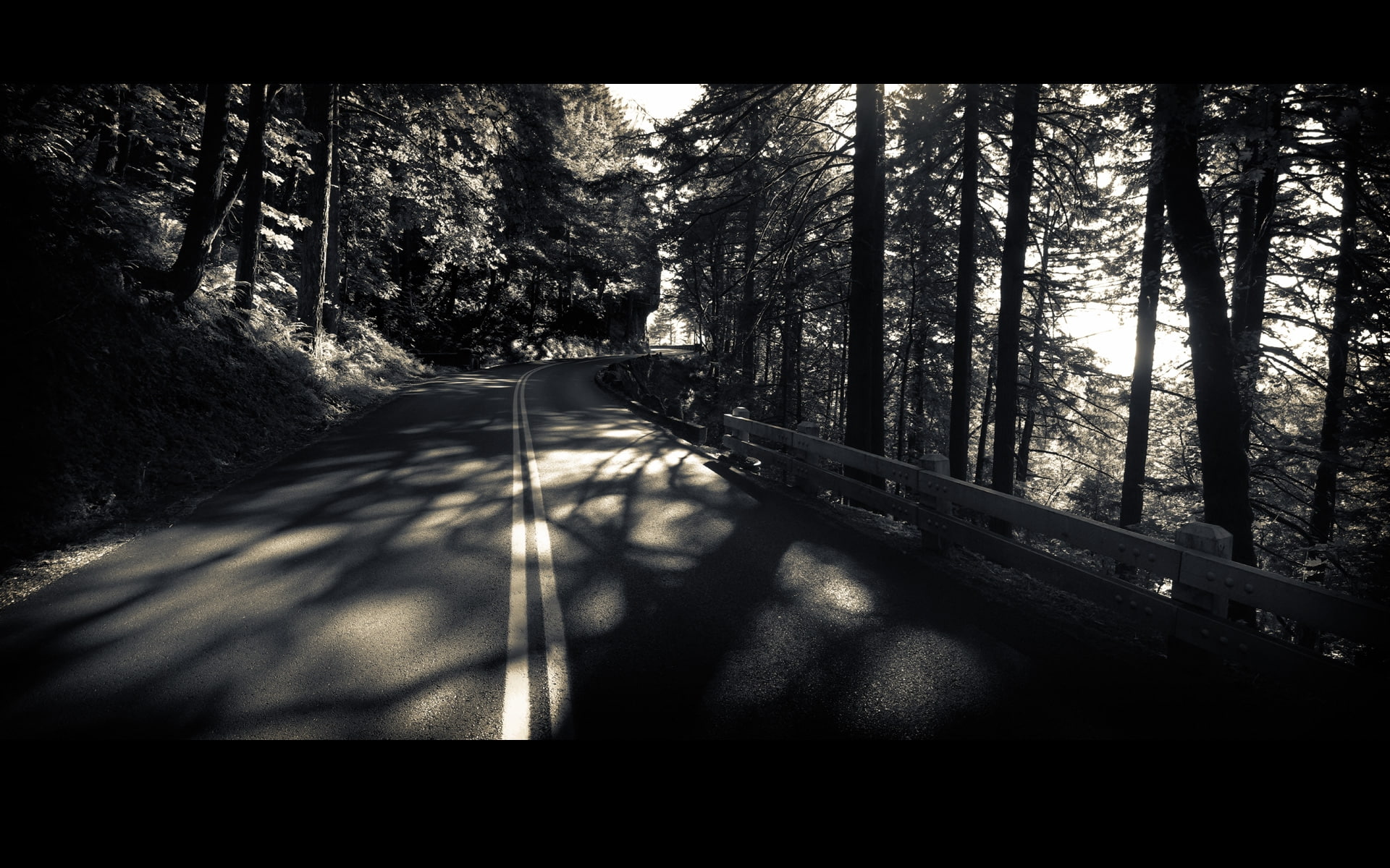 art, abstract, 1080P, forest, hd, Quite, road, photography, HD Wallpaper