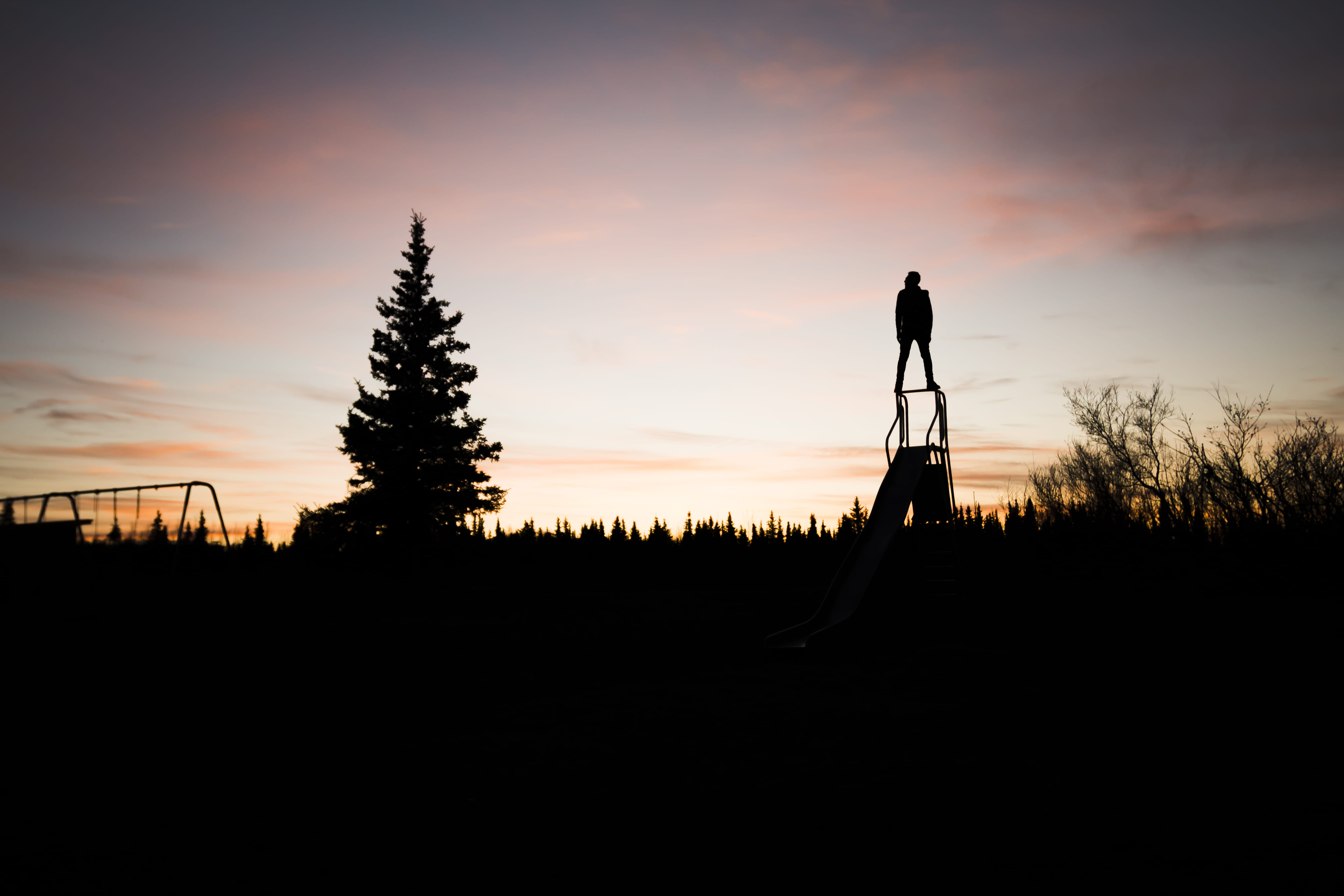 night, dusk, dark, nature, black, full length, beauty in nature, skyline, cloud - sky, silhouette, cloud, forest, tranquil scene, photography, orange color, HD Wallpaper
