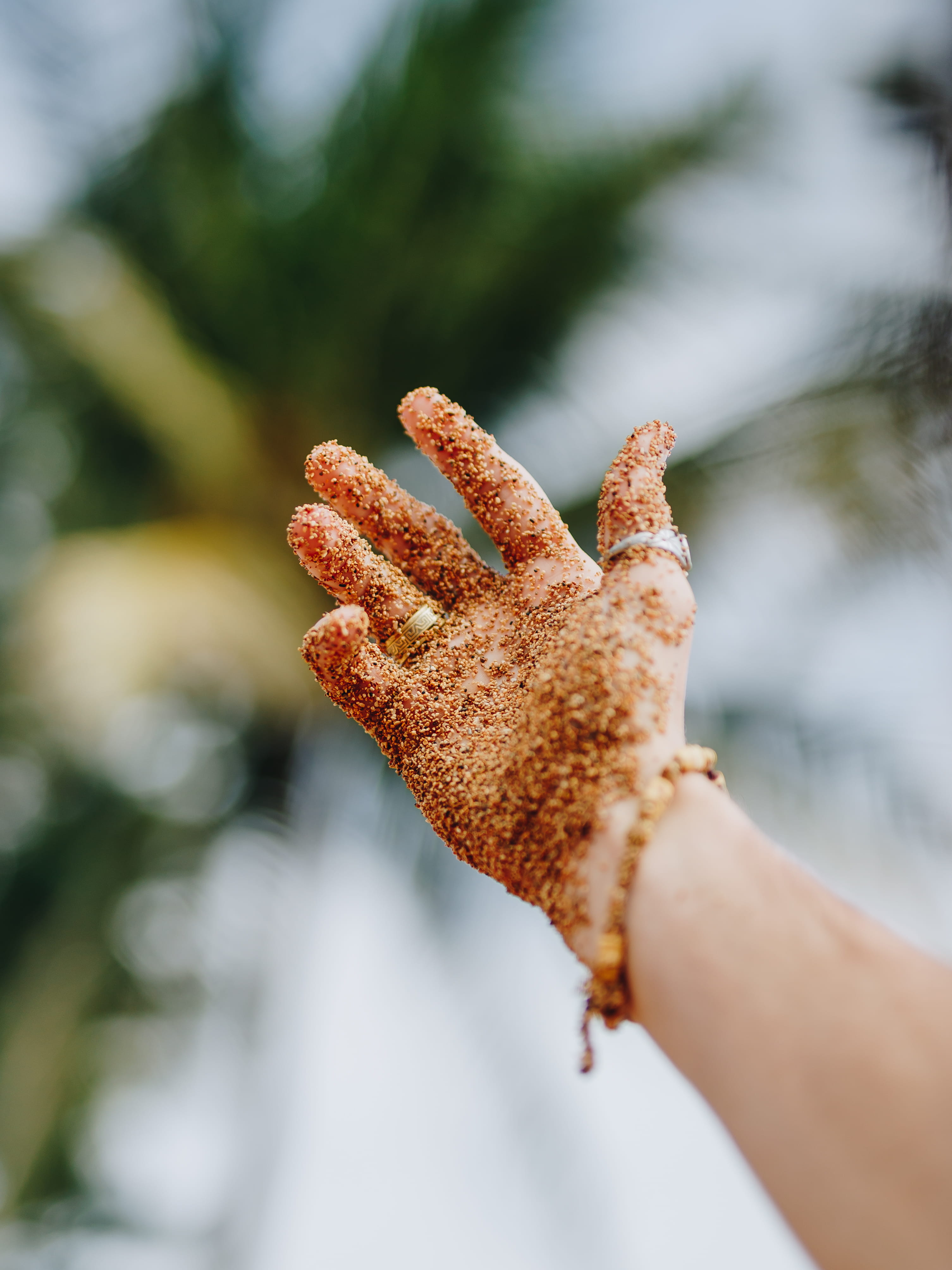 human finger, real people, human limb, leaf, hand, nature, raising, close-up, person, flare, personal perspective, human, sand, leisure activity, powder, Phone HD Wallpaper