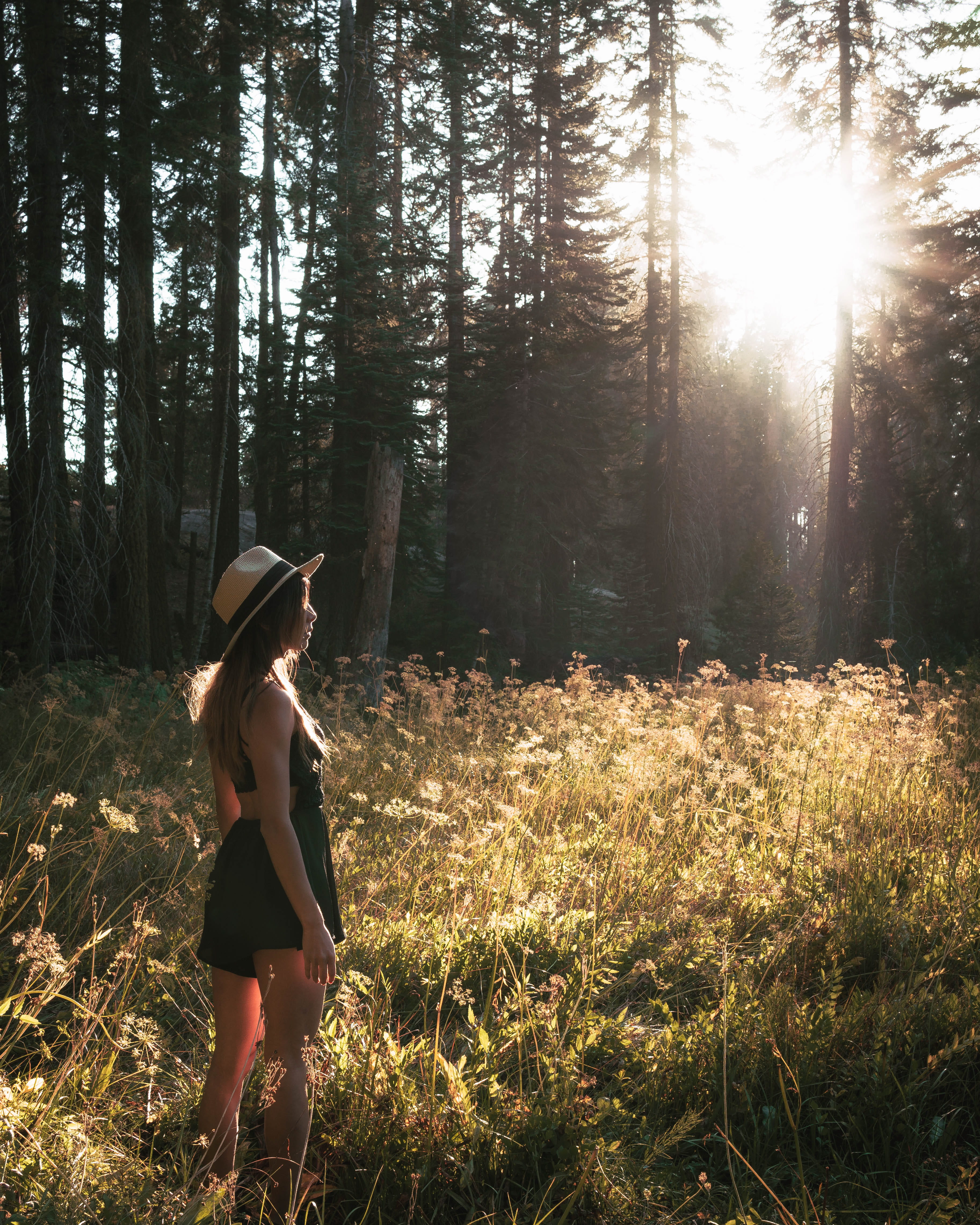 lifestyles, hat, united states, sunlight, human, forest tree, non-urban scene, tranquility, person, lens flare, 4K, leisure activity, hairstyle, forest, Phone HD Wallpaper