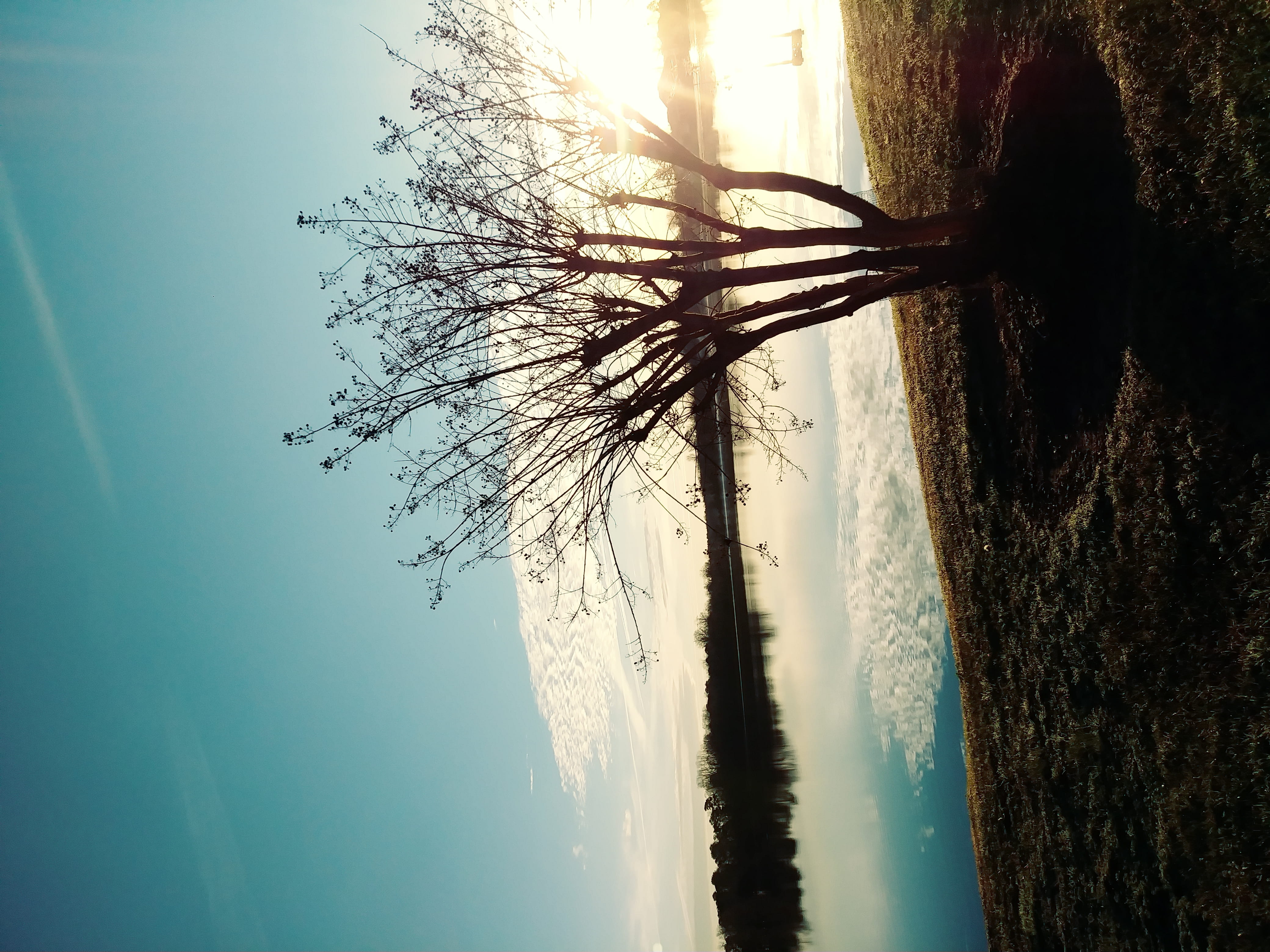hope, good vibes, tree, day, tranquil scene, blue sky, branch, florence, growth, beauty in nature, trunk, adventure, beautiful outside, 4K, tree trunk, HD Wallpaper