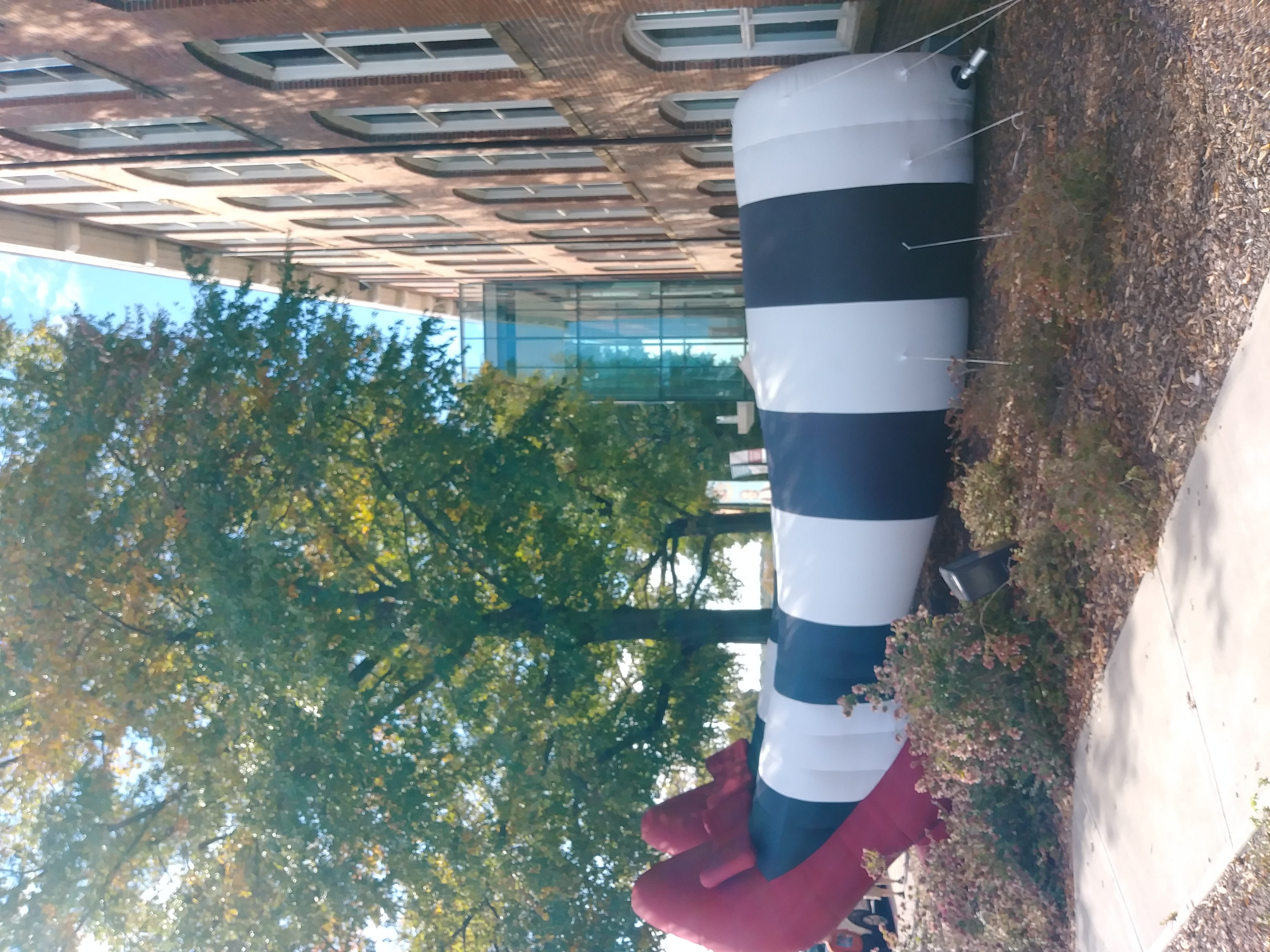 childhood, day, land, enjoy, explore, plant, united states, experience, growth, state capitol, exploring, tree, movie, columbia, green color, hope, outdoors, HD Wallpaper