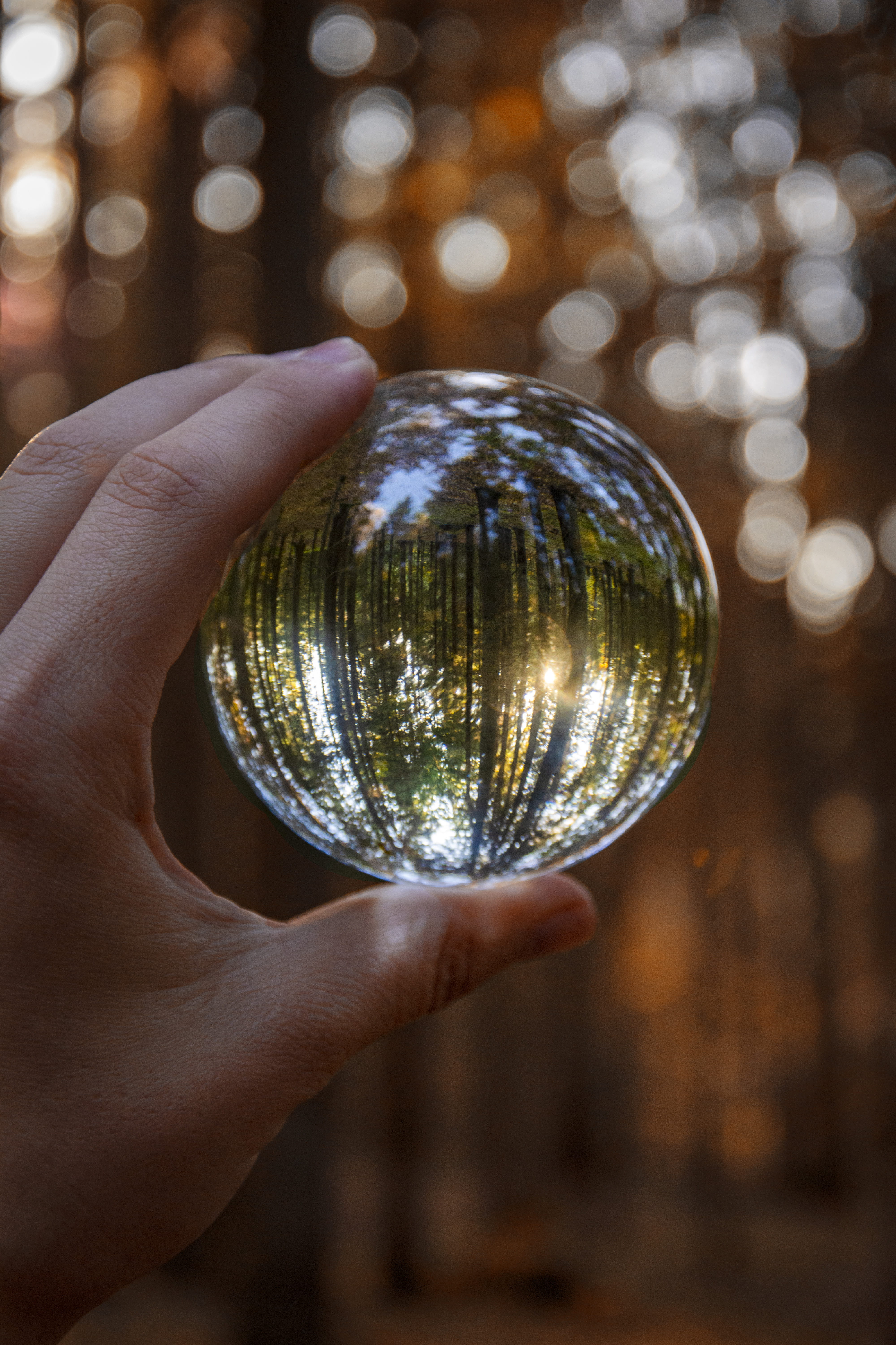 human hand, human body part, body part, focus on foreground, sphere, globe, human finger, finger, lifestyles, real people, shiny, glass items, crystal, Phone HD Wallpaper