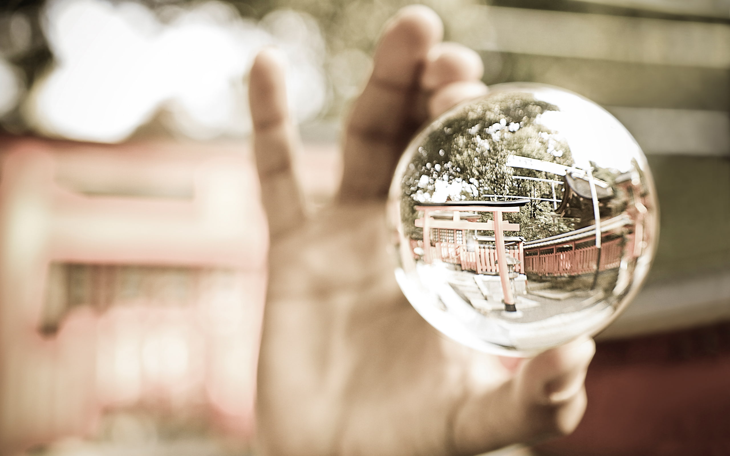 human Hand, day, business, transparent, glass, outdoors, sphere, people, finger, focus on foreground, technology, environment, 2560x1600, tree, holding, HD Wallpaper