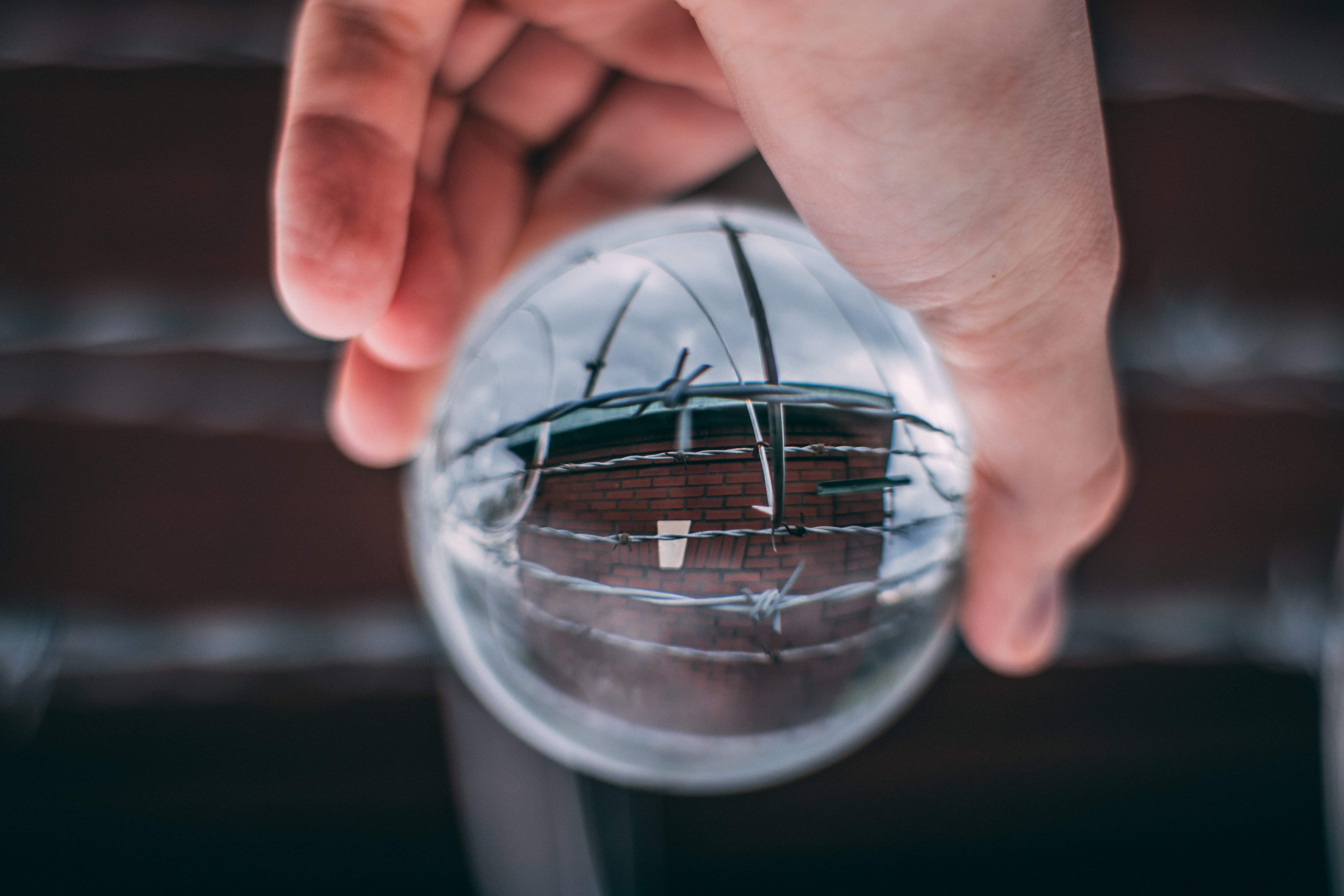 blur, adult, holding, human, day, focus on foreground, barb wires, shape, nature, glass - material, glass, hand, men, ball-shaped, 5K, man, human hand, HD Wallpaper