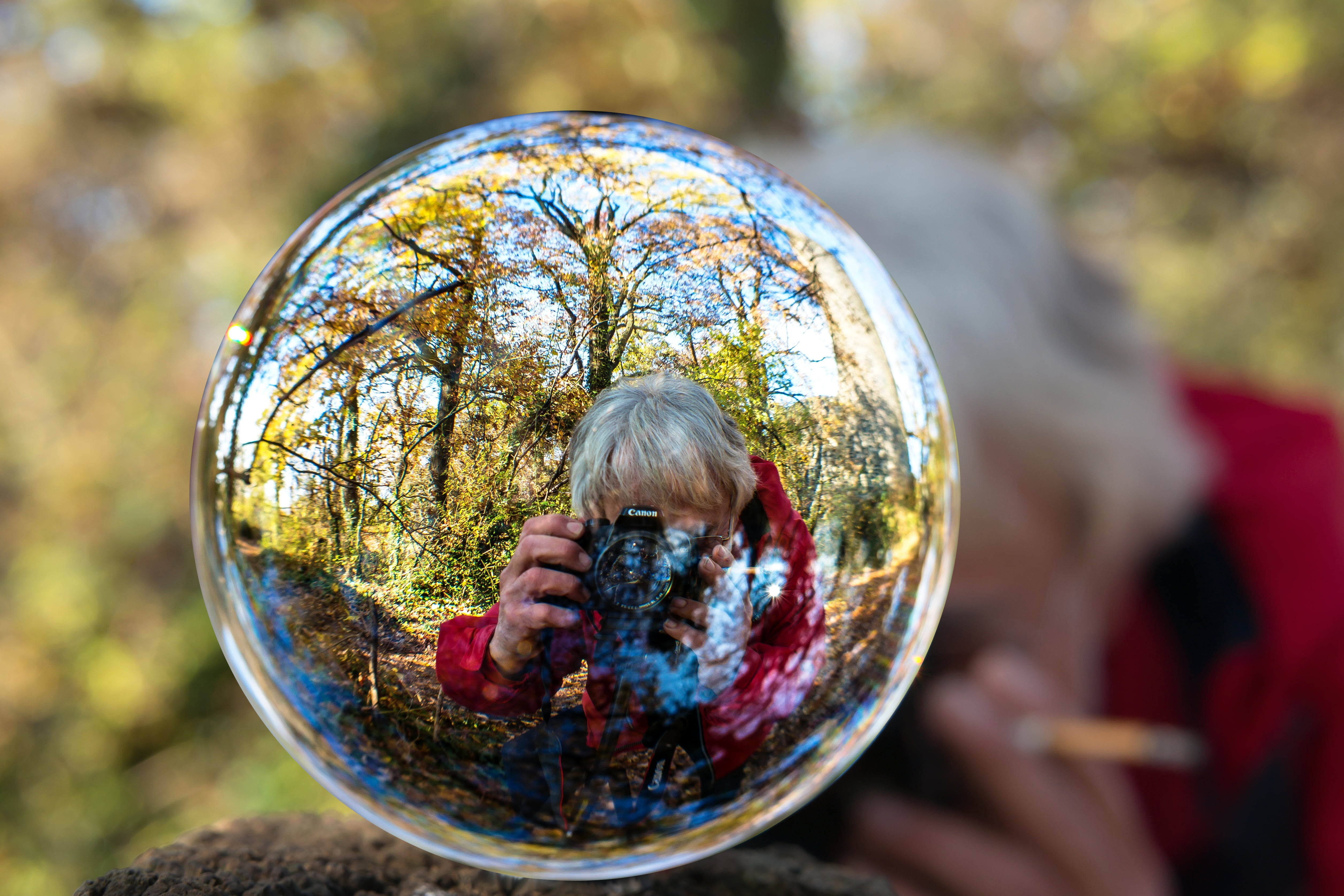 profession, circle, hand, tree, photo sphere, globe image, recording, photography, day, focus on foreground, geometric shape, ball, photo shoot, outdoors, HD Wallpaper