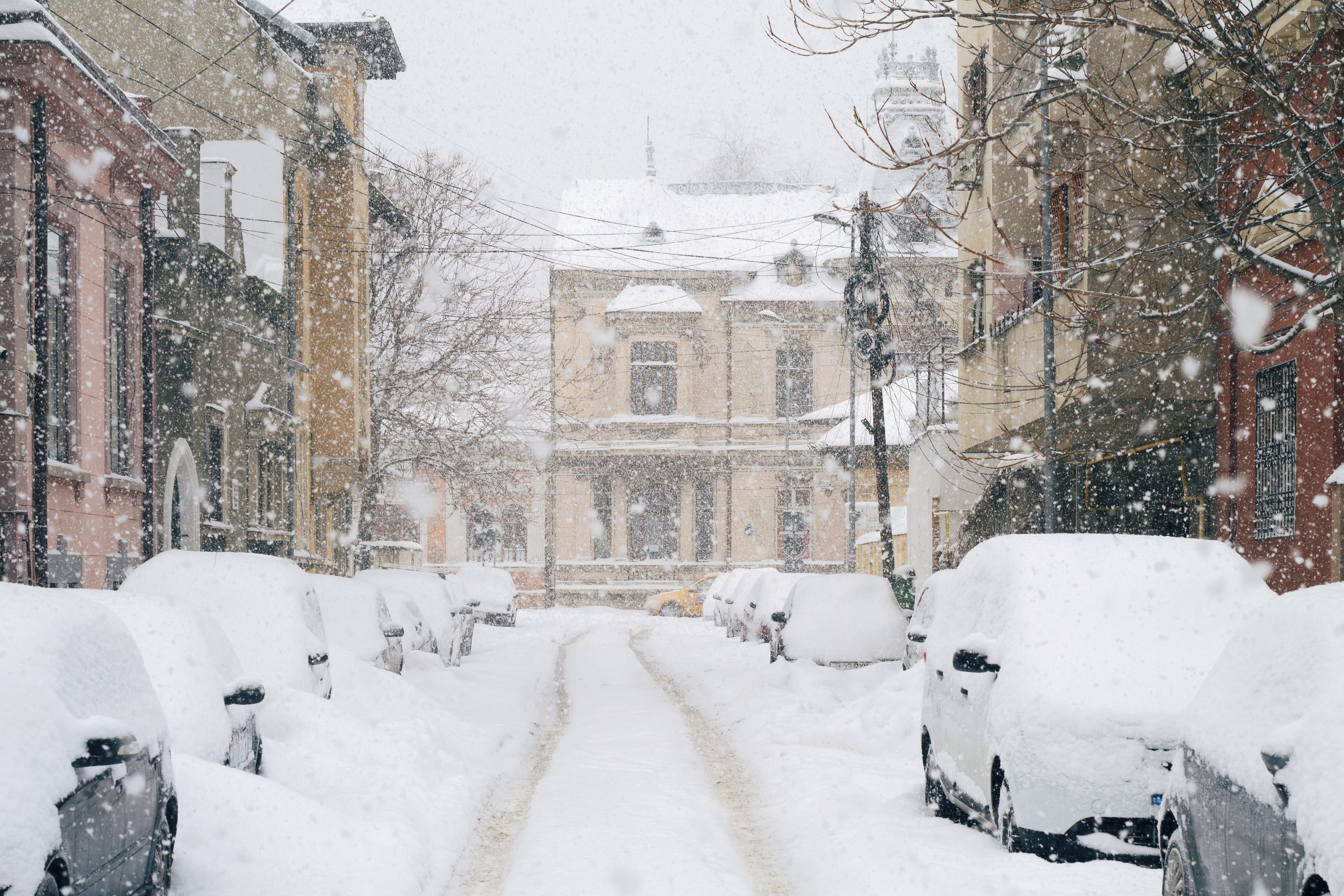 outdoors, building, tree, snow, day, no people, nature, city, land vehicle, cold temperature, transportation, blizzard, mode of transportation, building exterior, HD Wallpaper