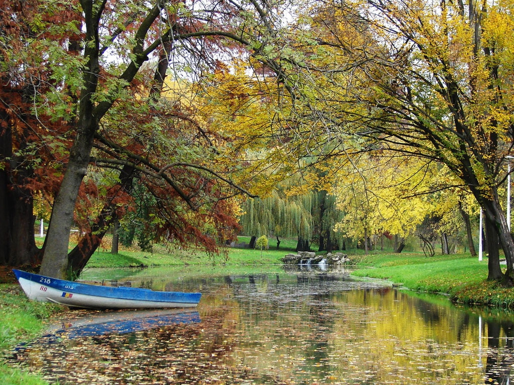 480P, city, hd, craiova, art, Craiova city park, Romania, park, nature, HD Wallpaper
