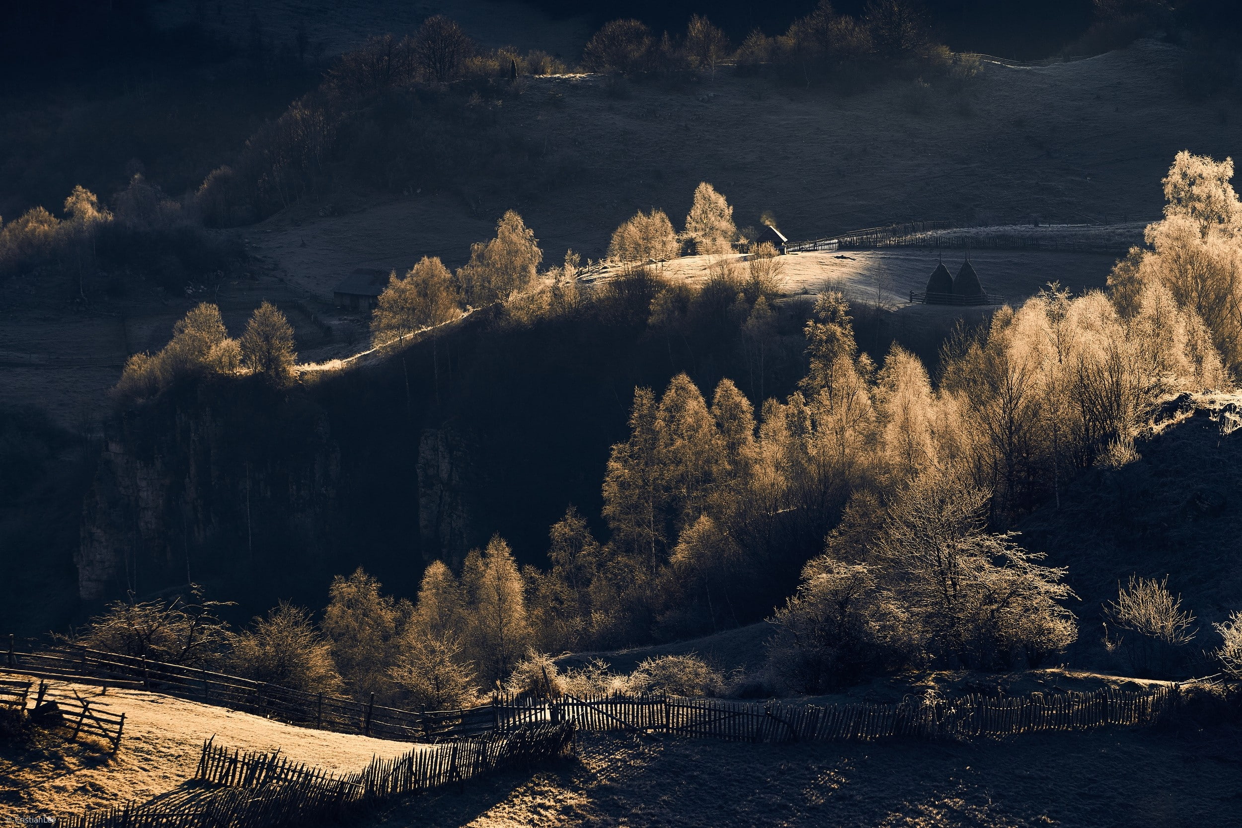 field, sunlight, fence, 1080P, trees, nature, landscape, Romania, shrubs, HD Wallpaper