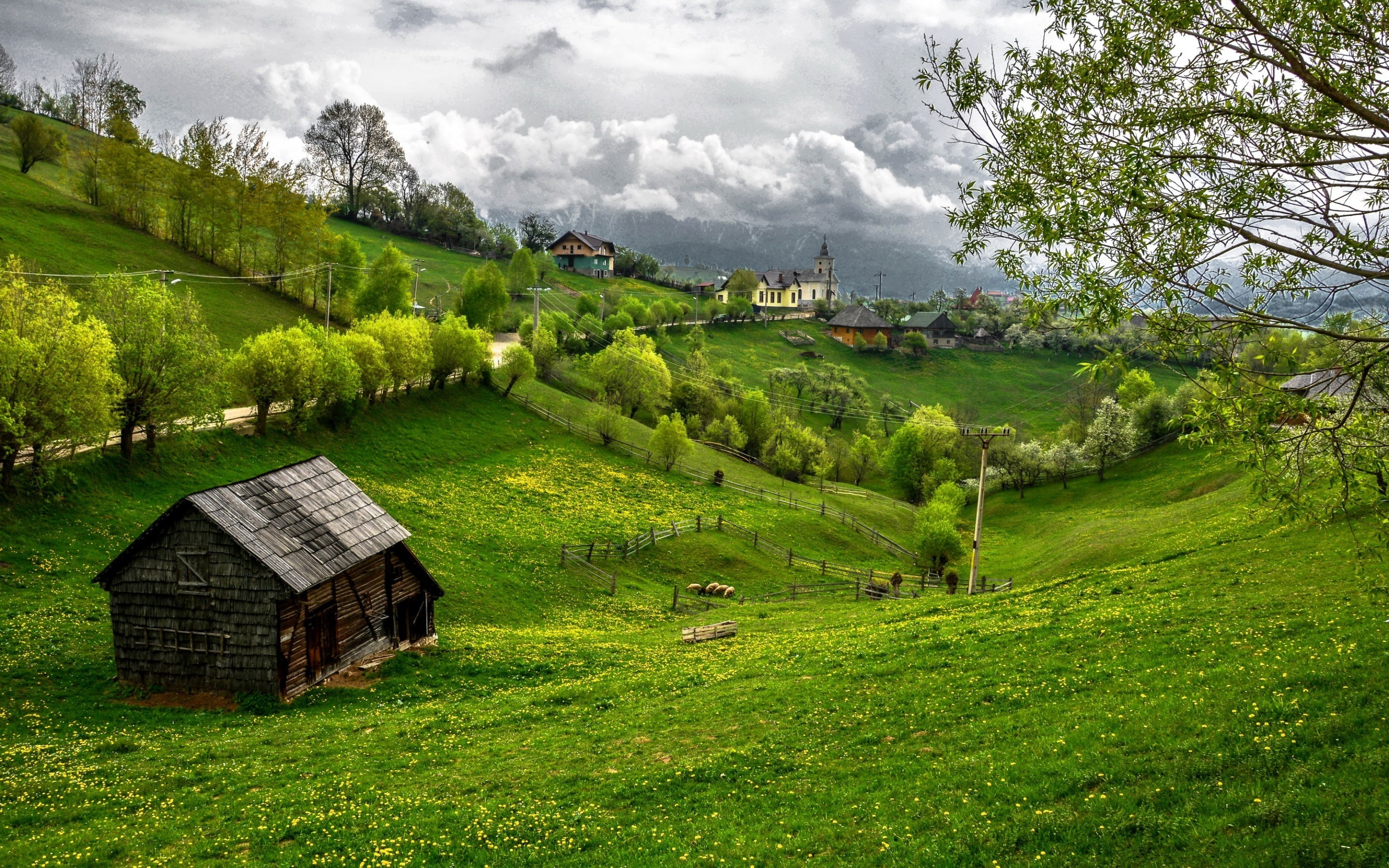 romania, grass, house, transylvania, 2K, trees, green, field, HD Wallpaper