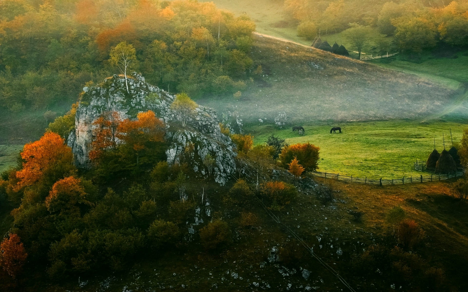 grass, beauty in nature, non-urban scene, hut, nature, day, change, mountain, landscape, tranquility, tranquil scene, morning, land, idyllic, rock, horse, HD Wallpaper