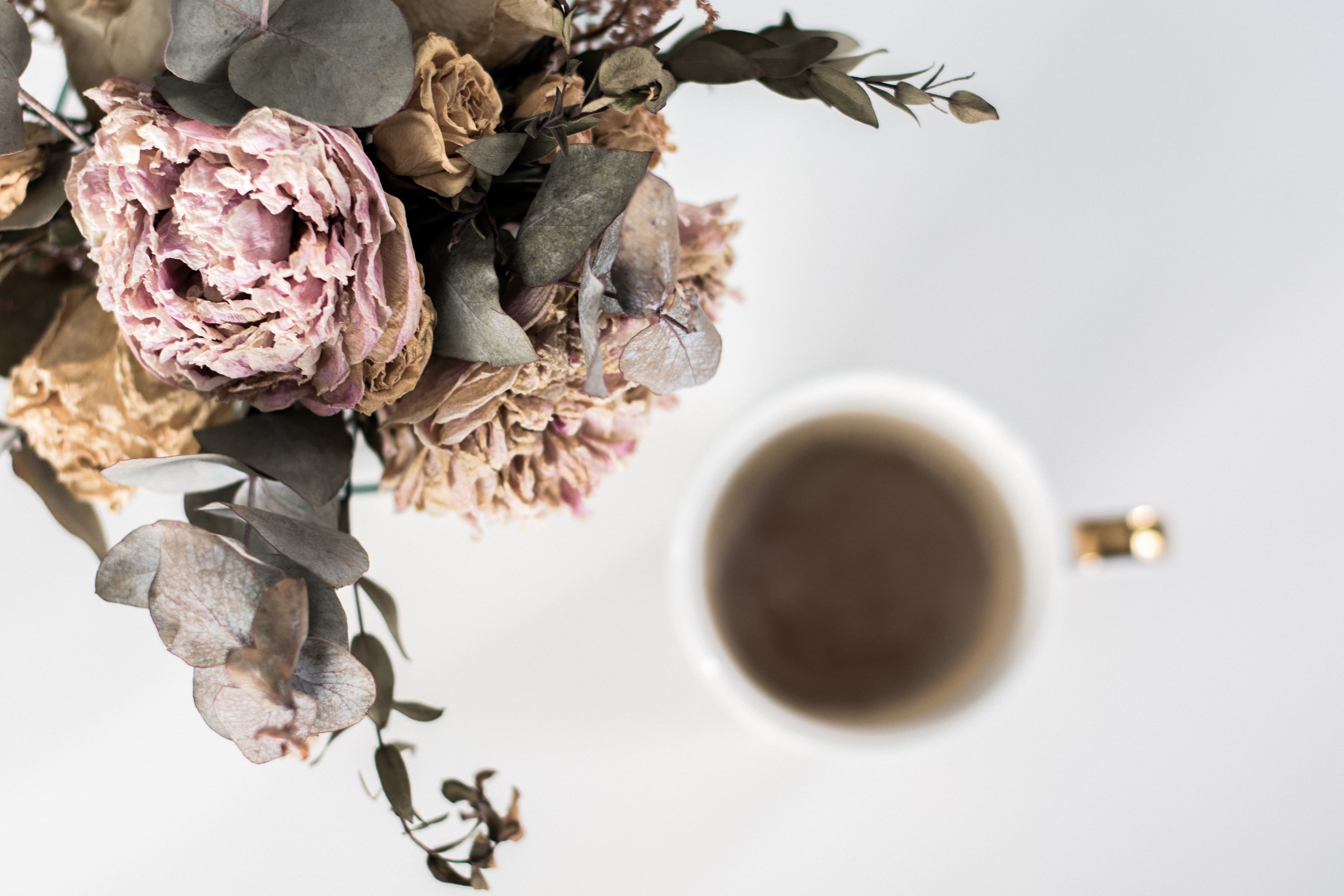 coffee cup, love, directly above, morning, flowers, close-up, food and drink, food, refreshment, wilted plant, pastel, freshness, drink, mug, girlish, cup, HD Wallpaper
