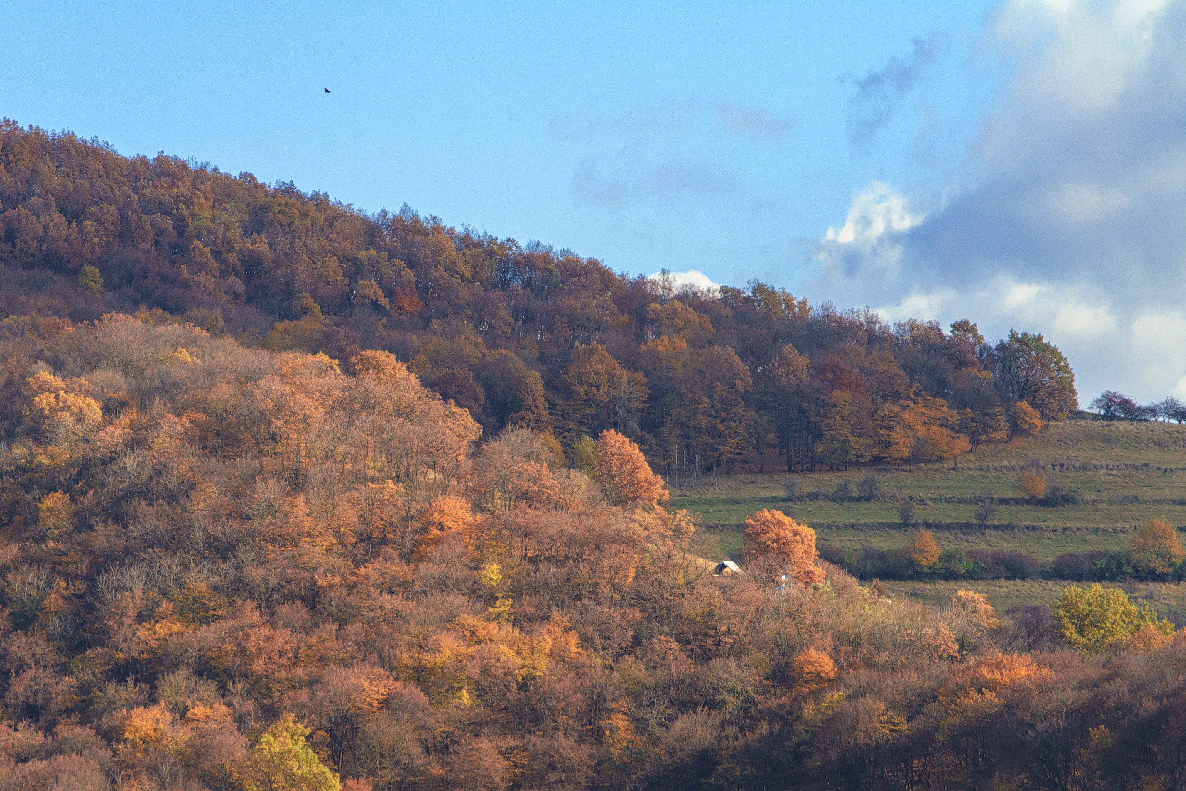 outdoors, day, autumn, tranquility, non-urban scene, hill, growth, cluj-napoca, beauty in nature, romania, change, sky, scenics - nature, clouds, plant, HD Wallpaper
