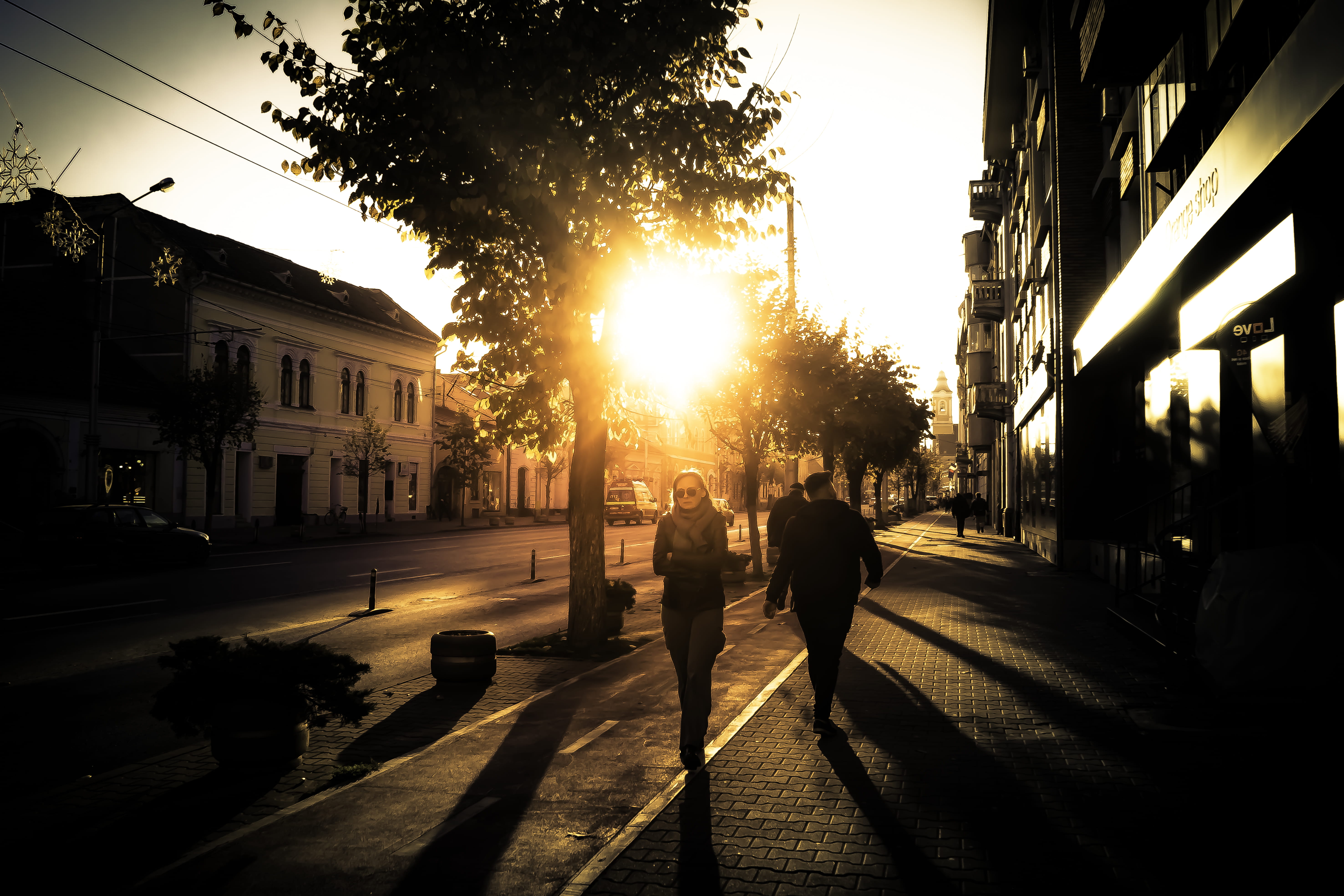 tree, sun, street, lifestyles, plant, cluj, building exterior, 5K, sunset, people, women, men, city life, lens flare, architecture, outdoors, city, group of people, HD Wallpaper