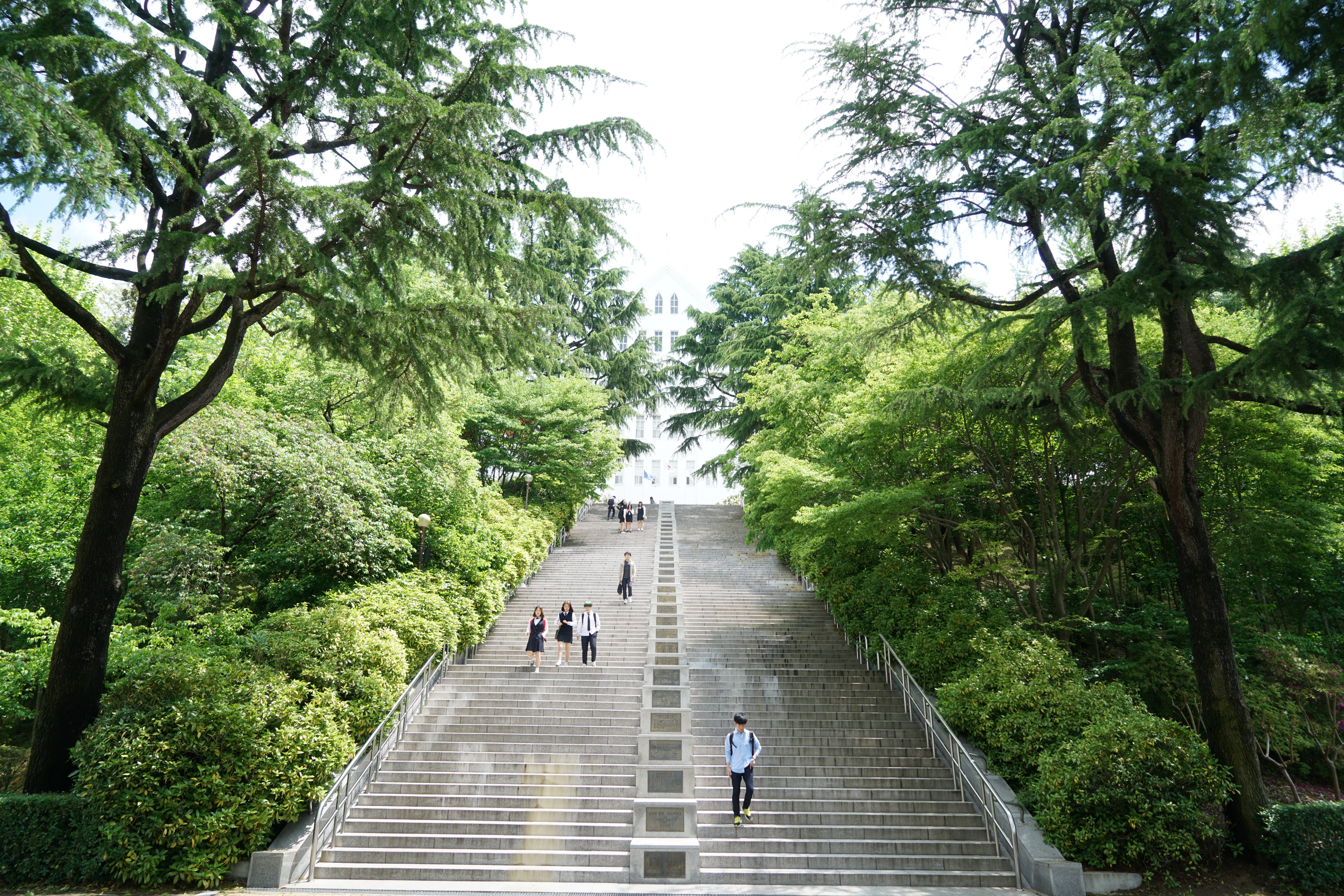 nature, real people, women, total students, park, one person, korea, steps and staircases, leaders, architecture, stairs, chosun, university, green color, HD Wallpaper