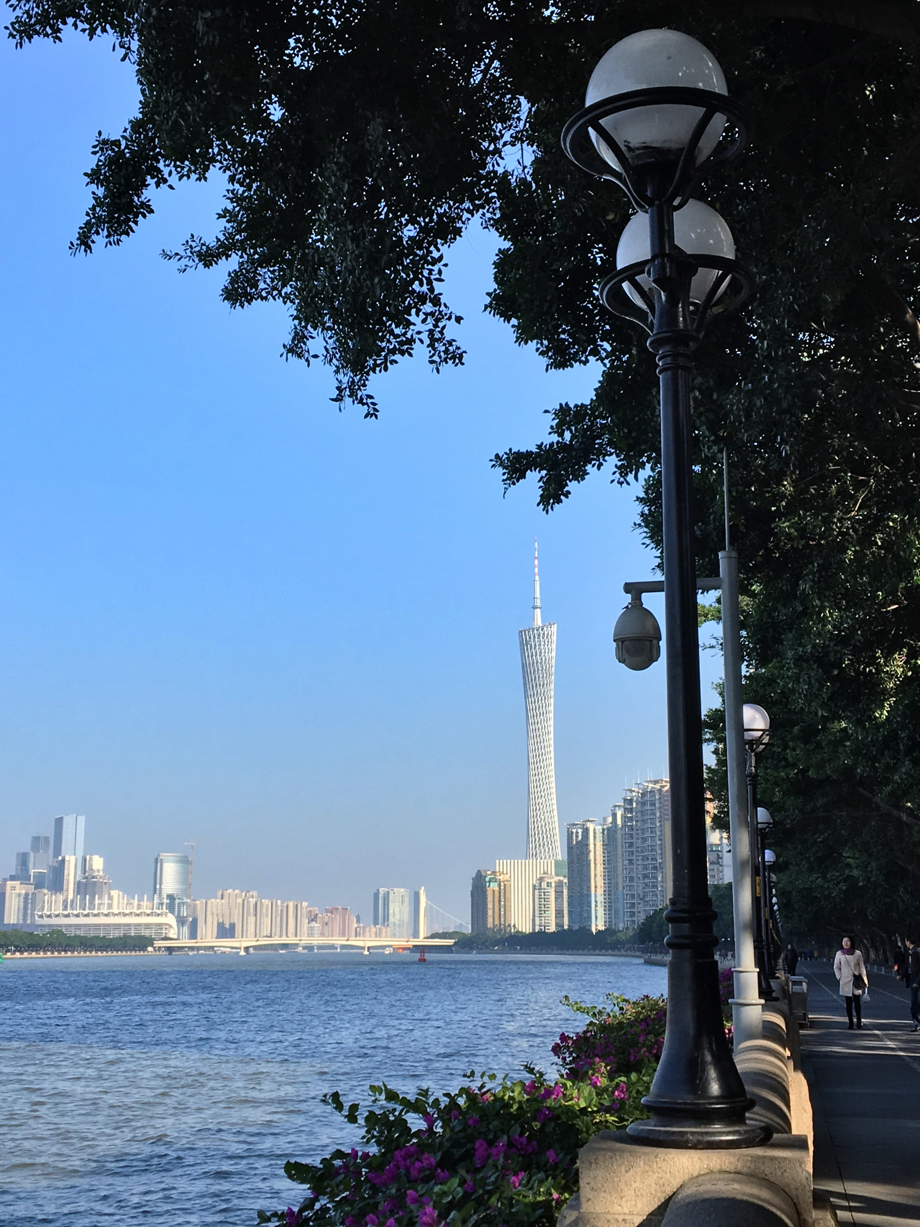 outdoors, growth, street, china, nature, day, architectural column, city, tower, plant, 4K, travel destinations, no people, guangzhou, building exterior, Phone HD Wallpaper