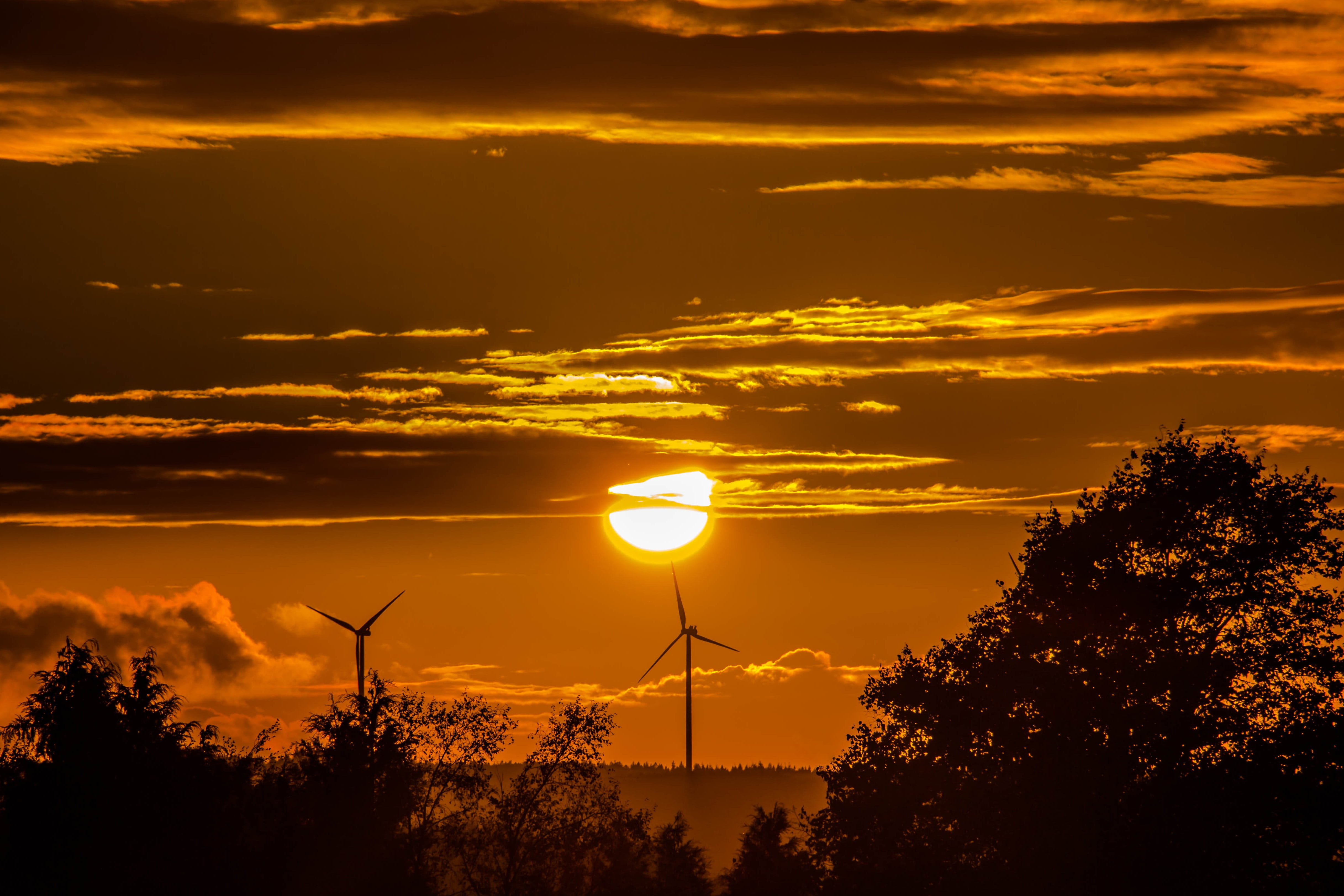silent, beauty in nature, wind, evening, windmill, color game, fog formation, environment, sun, integrated into the natural, environmental conservation, HD Wallpaper