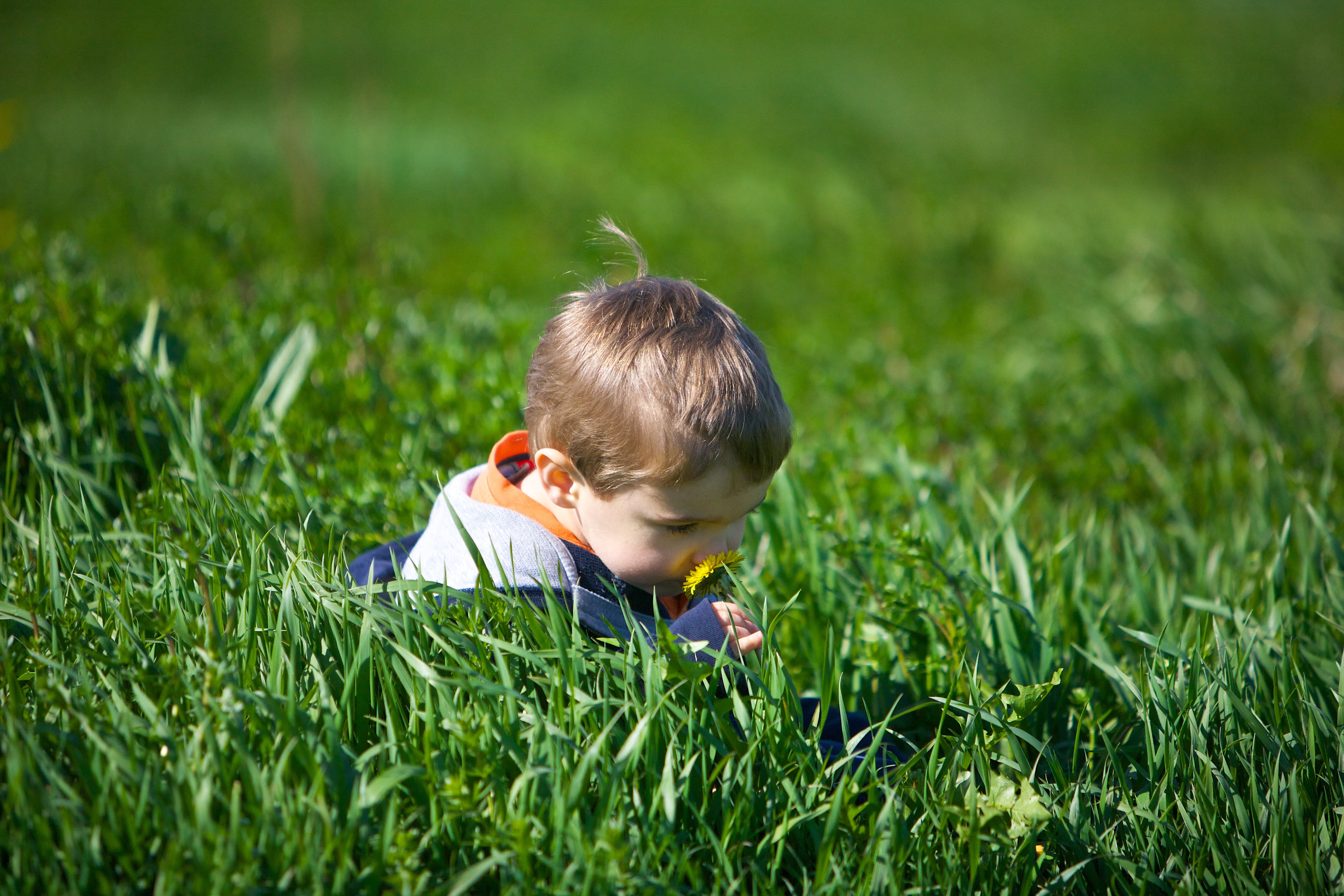 grass, runway, summer, outdoors, checker, green grass, rc, first, plane, flyers, child, cc3, one Person, 4K, remote  control, green, small, playing, boys, HD Wallpaper