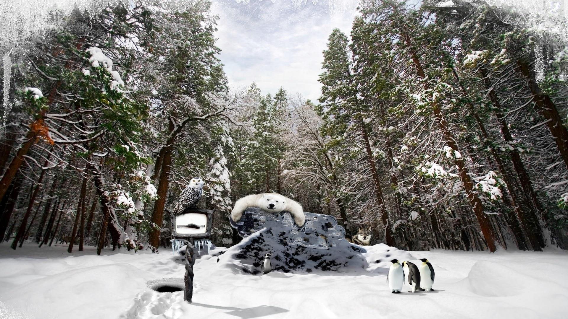 playground, winter, nature and landscapes, snow, trees, animals, nature, 1080P, playgrounds, HD Wallpaper