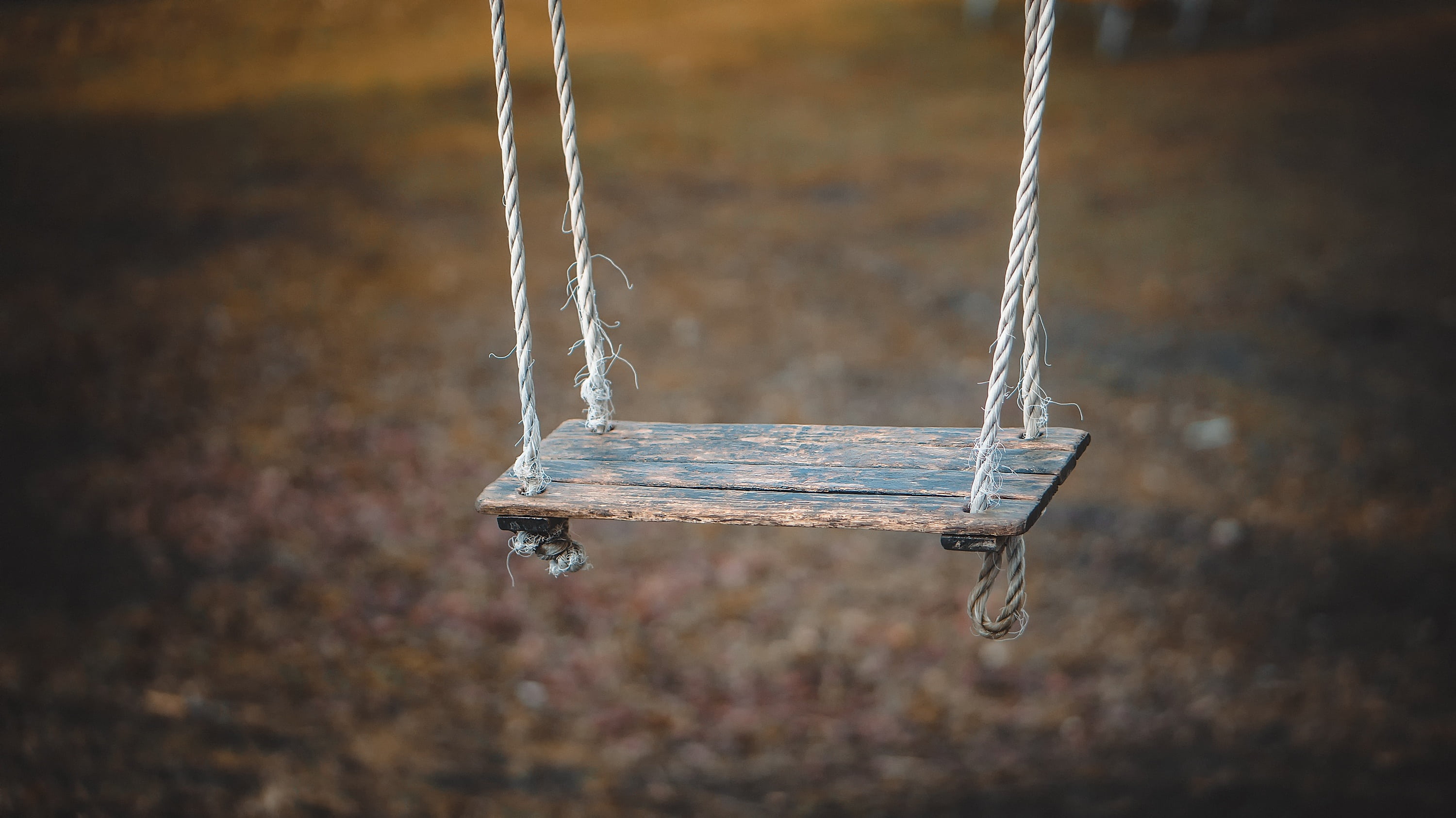 playground, park, nature, wood, outdoors, empty, wood - Material, autumn, chain, swing, fun, motion, still, wooden, day, silver colored, brown, mid-air, HD Wallpaper