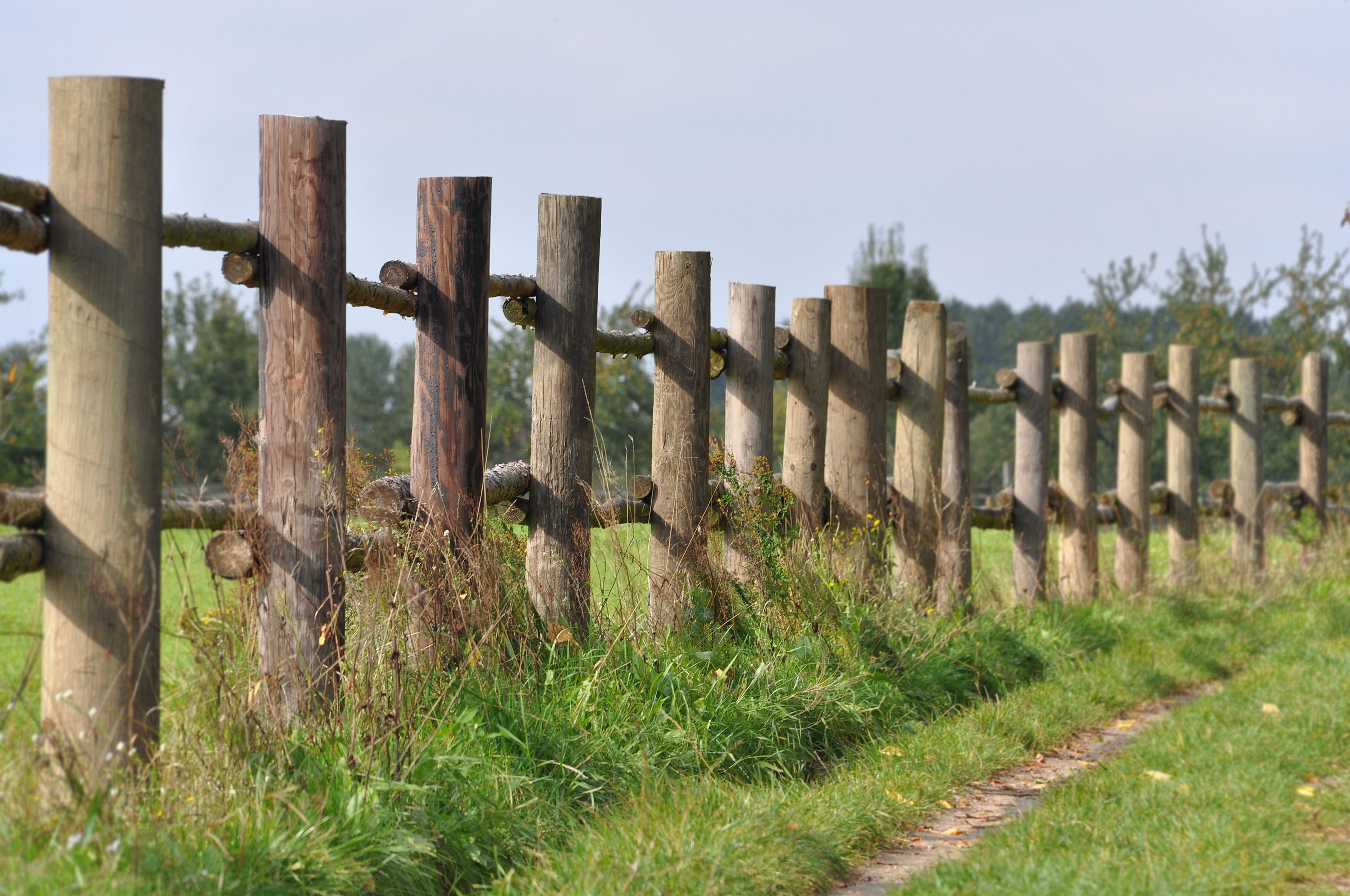 wood - material, grass, security, green, wood pile, sky, fence post, in a row, the past, idyll, field, wooden, brown, rural scene, lane, no people, protection, HD Wallpaper