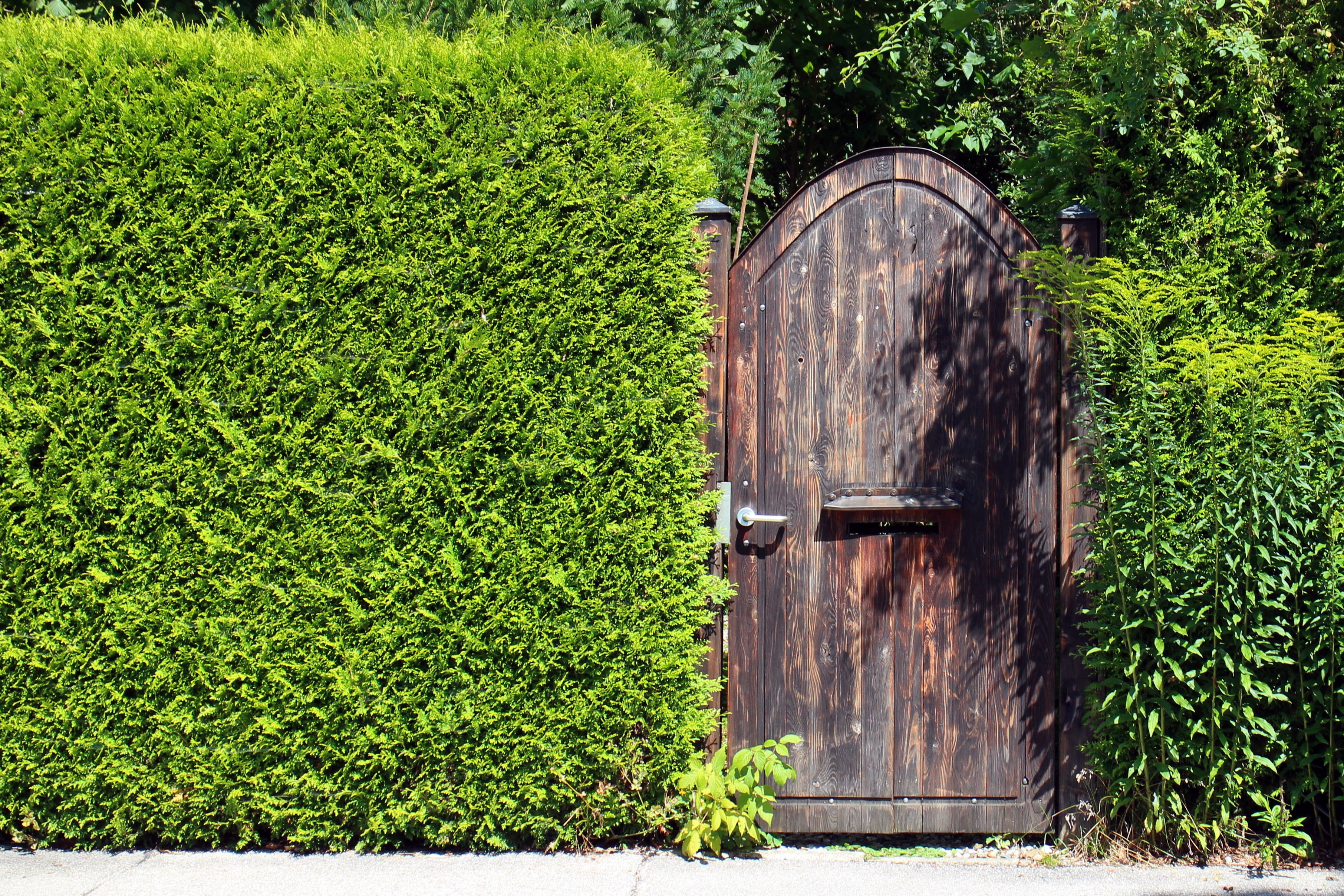 old, wooden, wall, built structure, beauty in nature, green color, goal, vision protection hedge, tree, garden gate, plant, land, lush foliage, landscape, HD Wallpaper