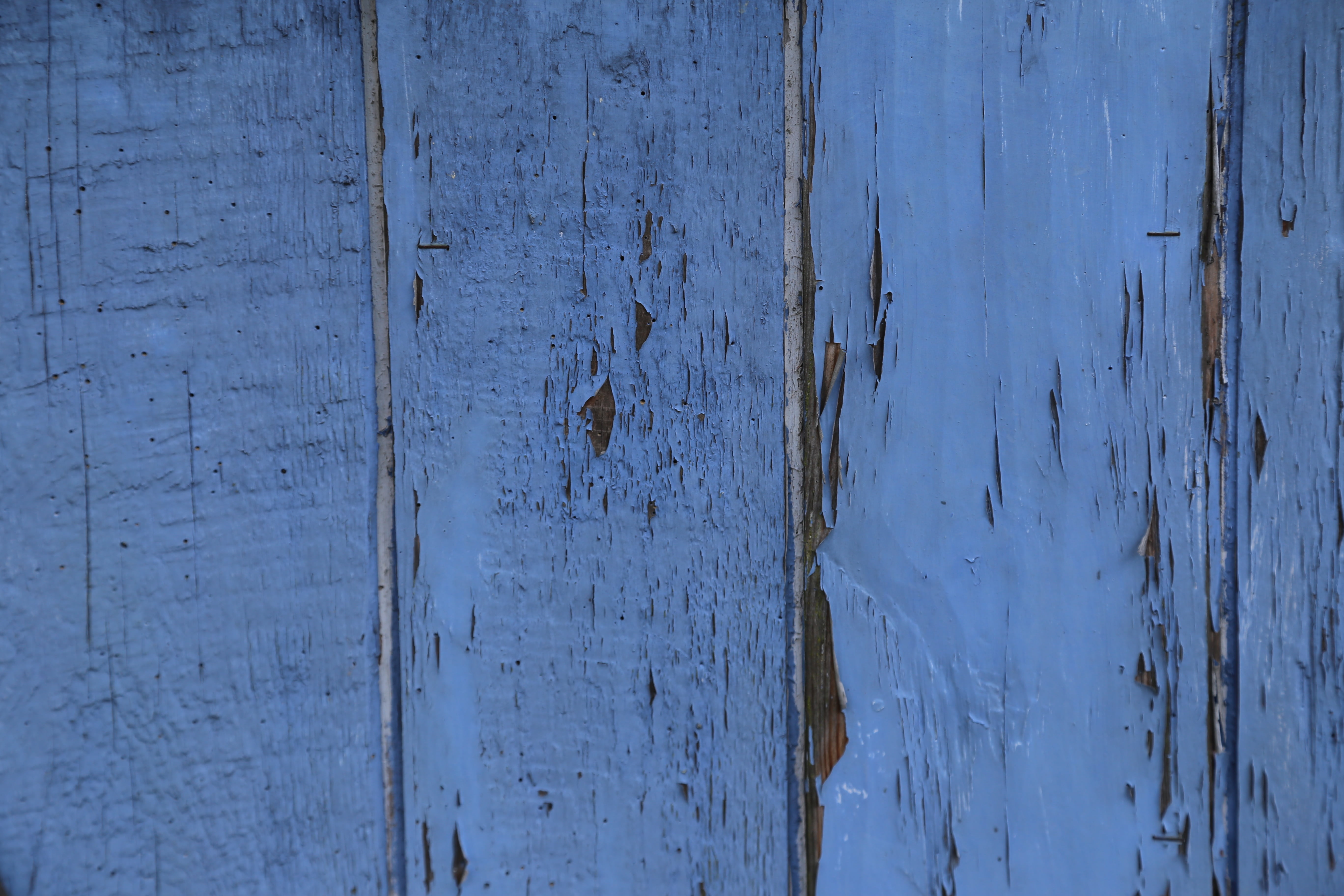wooden boards, plank, 5K, blue, fence, wall - building feature, photo, textured effect, wooden wall, architecture, damaged, deterioration, wood grain, HD Wallpaper