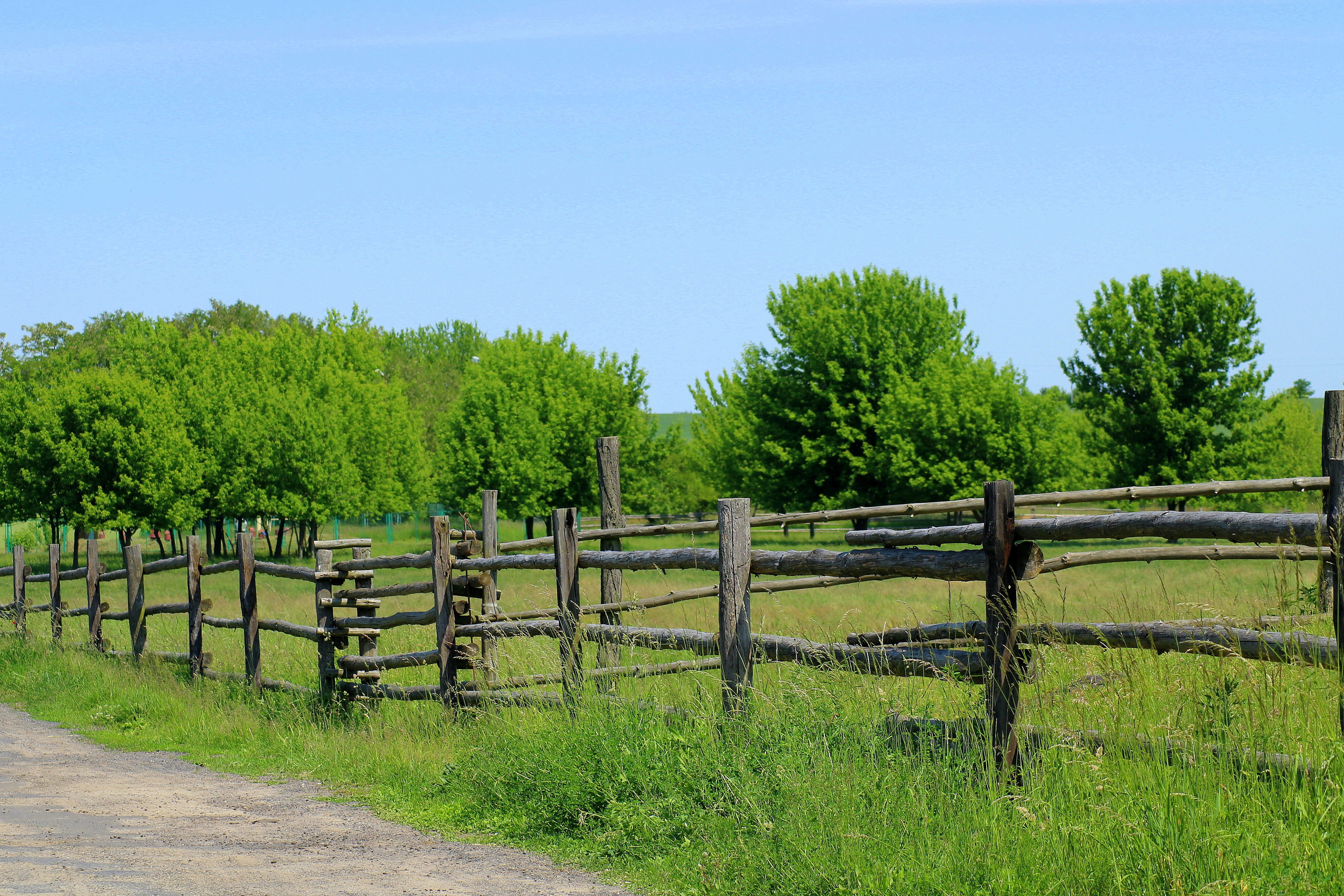 tranquil scene, outdoors, landscape, nature, green color, grass, tranquility, no people, security, day, boundary, growth, non-urban scene, wooden fence, HD Wallpaper