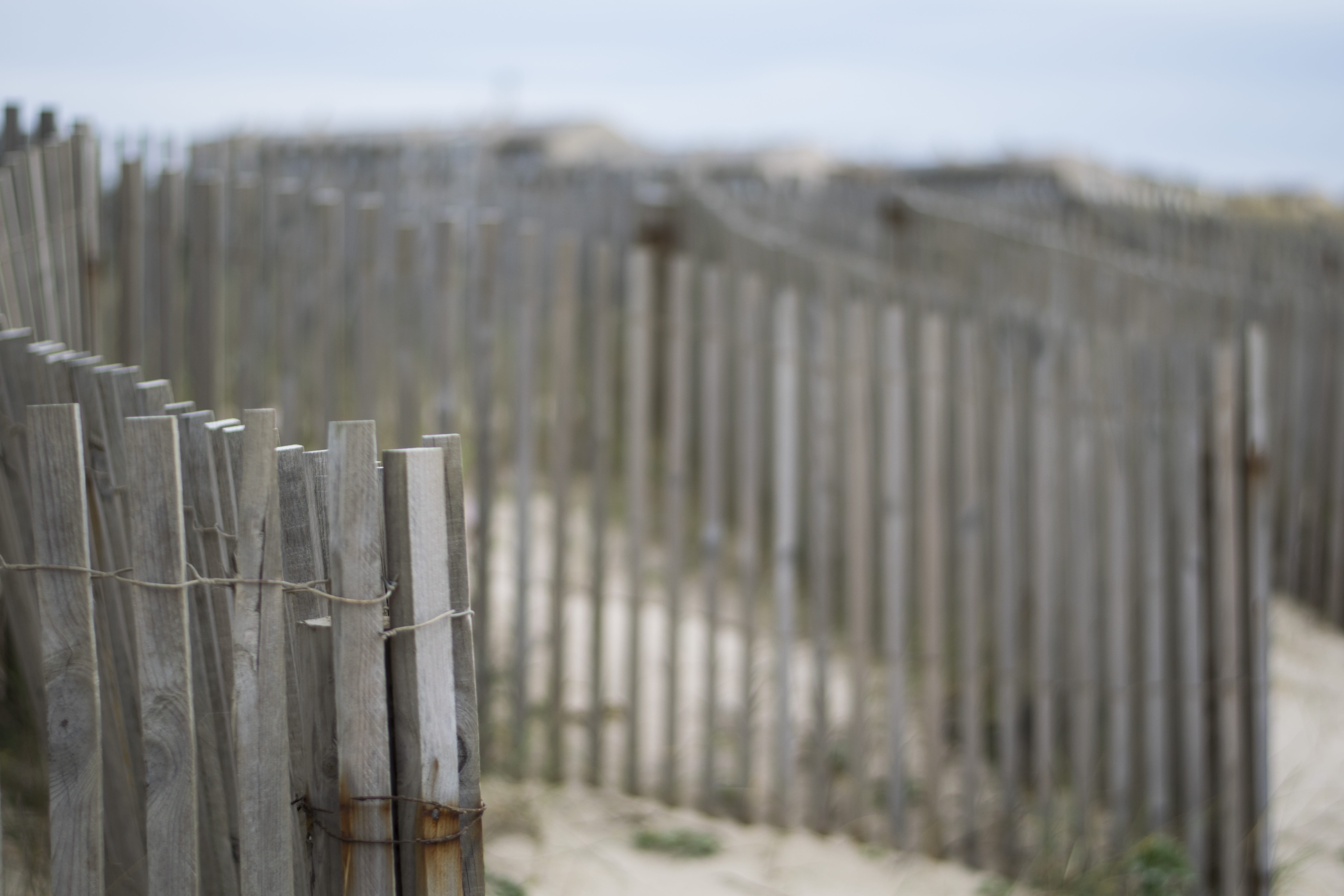 brown, security, nature, wooden post, wood - material, in a row, landscape, shallow, protection, no people, photography, focus, metal, wooden, day, architecture, HD Wallpaper