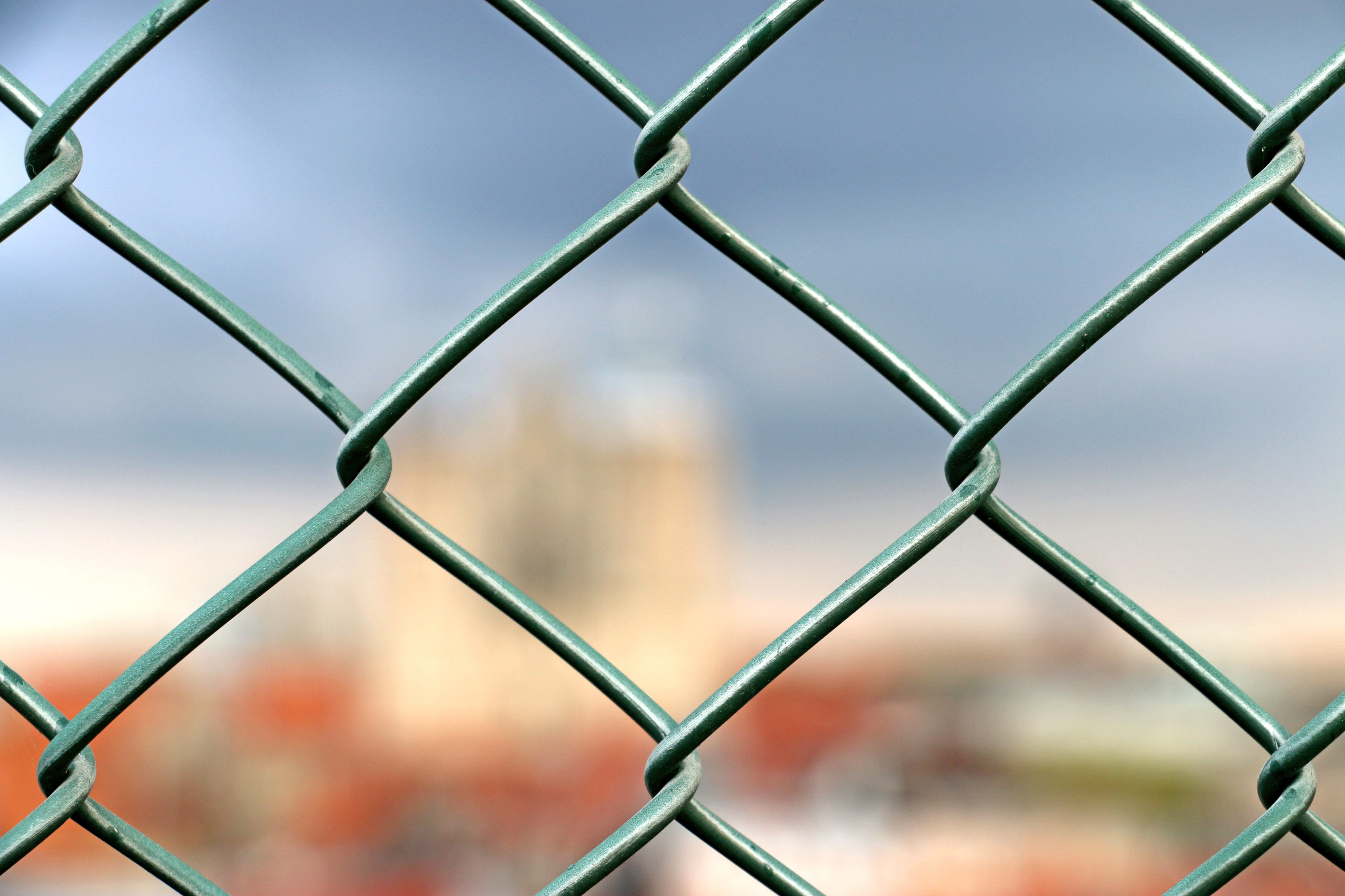 wall boards, wood, boards, safety, hedge, garden fence, palisade, focus on foreground, abstract, Fence, chainlink fence, grid, zurich, full frame, art, HD Wallpaper