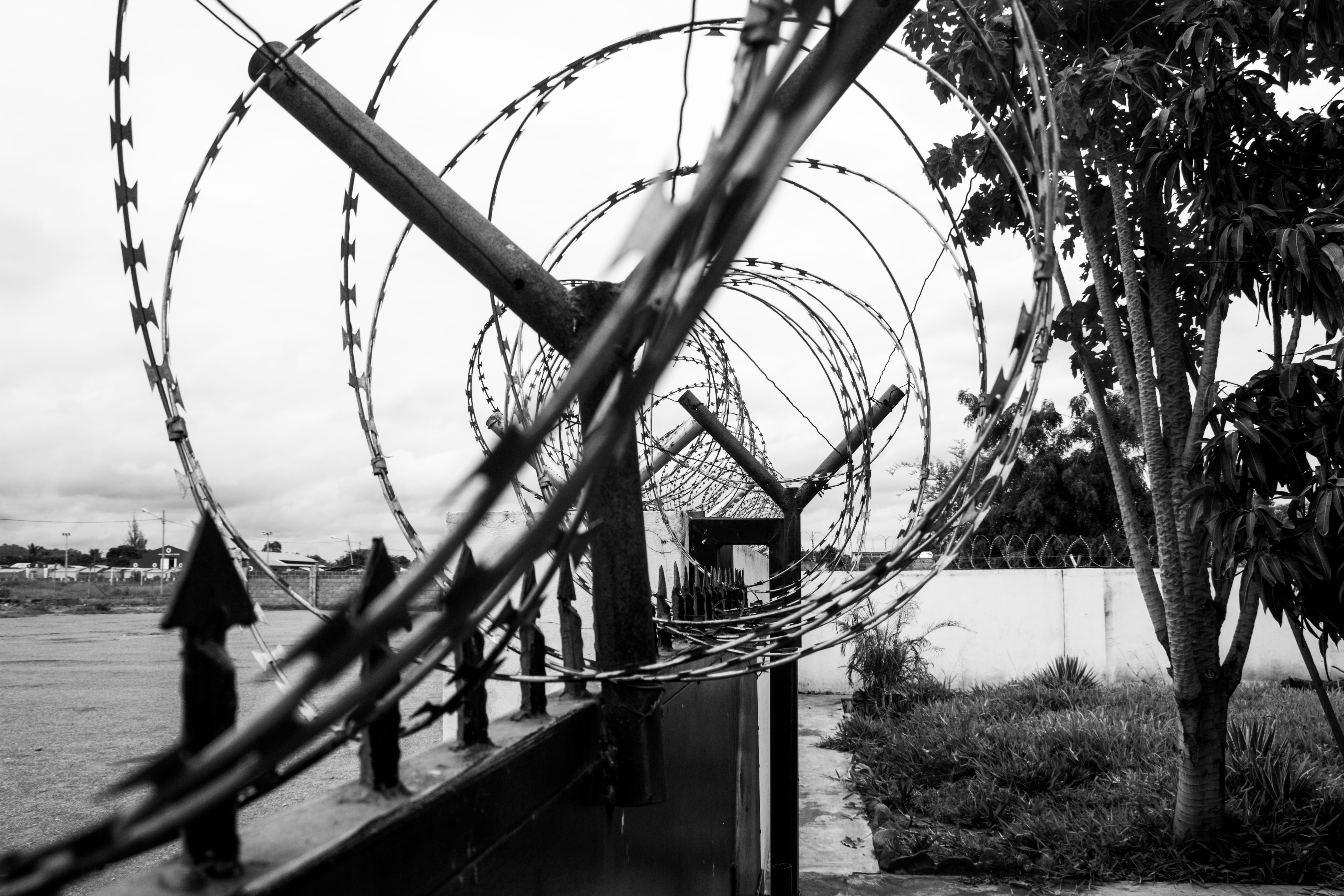 no people, tree, barrier, Steel, razor wire, sky, Wall, bridge - Man Made Structure, nature, built structure, security, house, Black, protection, net, black And White, HD Wallpaper