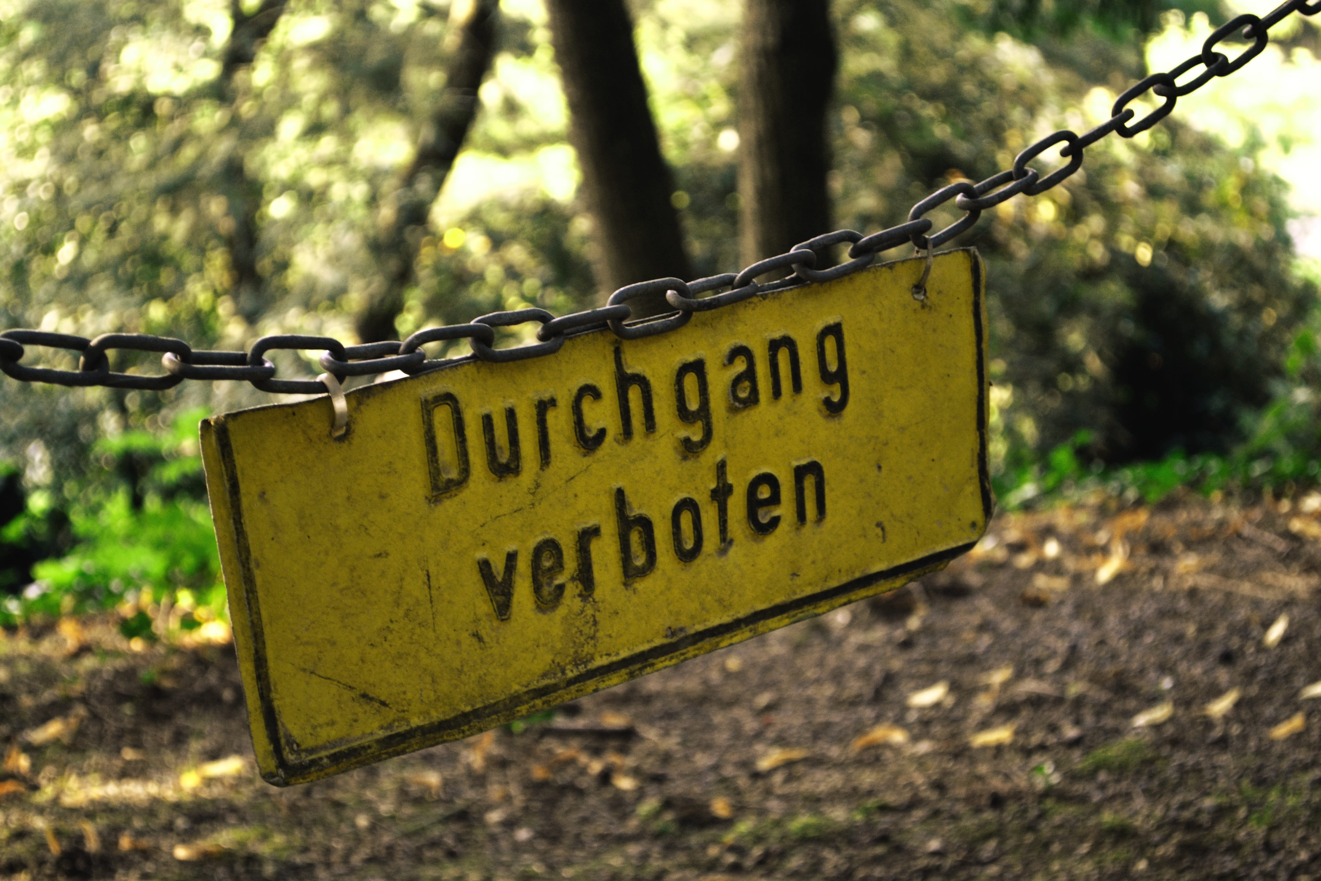 information, reference, stop, land, 4K, no trespassing, message, prohibited, hanging, acces denied, sign, western script, outdoors, forest, day, prohibitory, HD Wallpaper