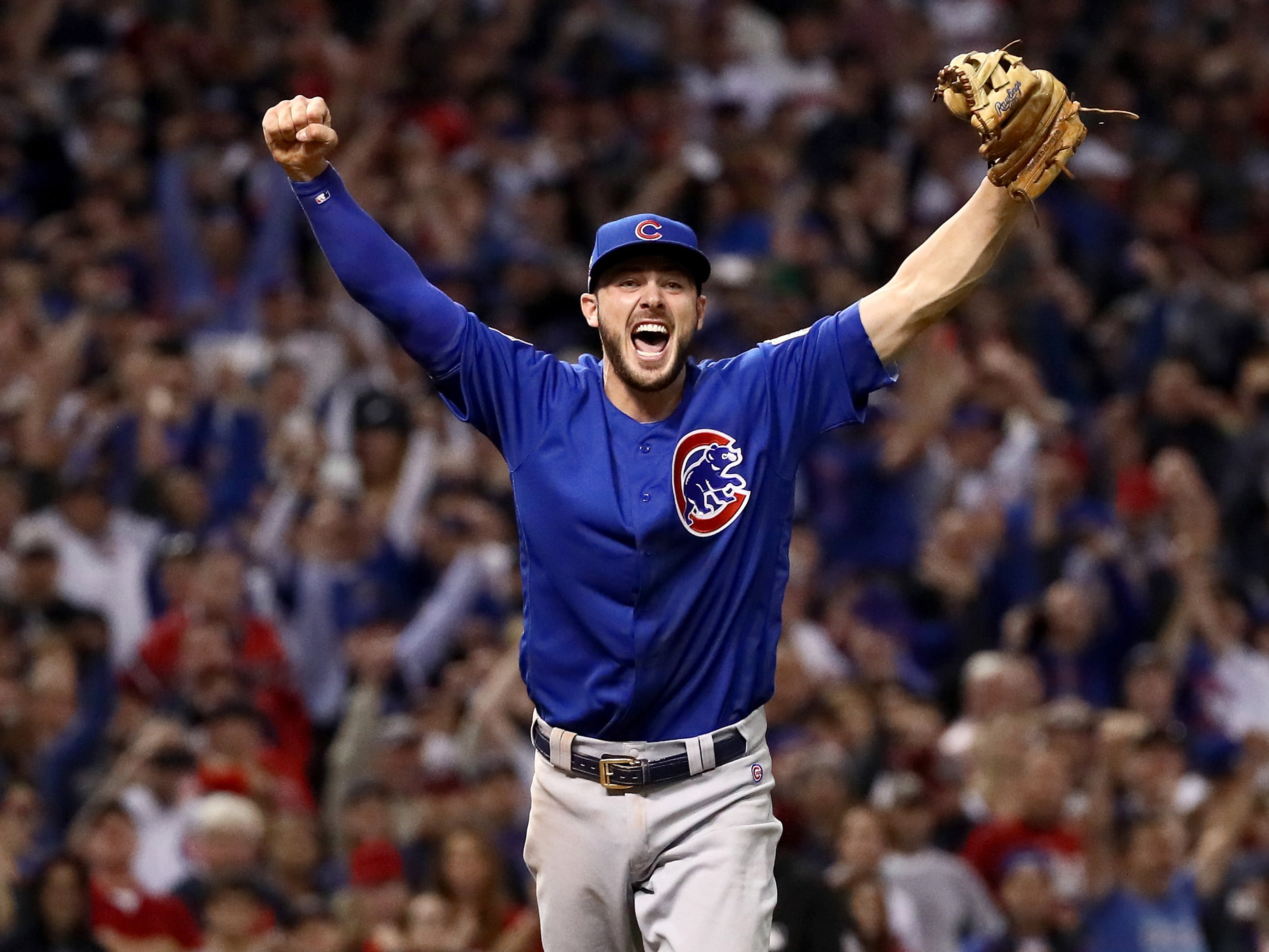 winning, positive emotion, cheering, cubs, success, human limb, celebration, fan - enthusiast, stadium, crowd, limb, world series, arms raised, spectator, HD Wallpaper