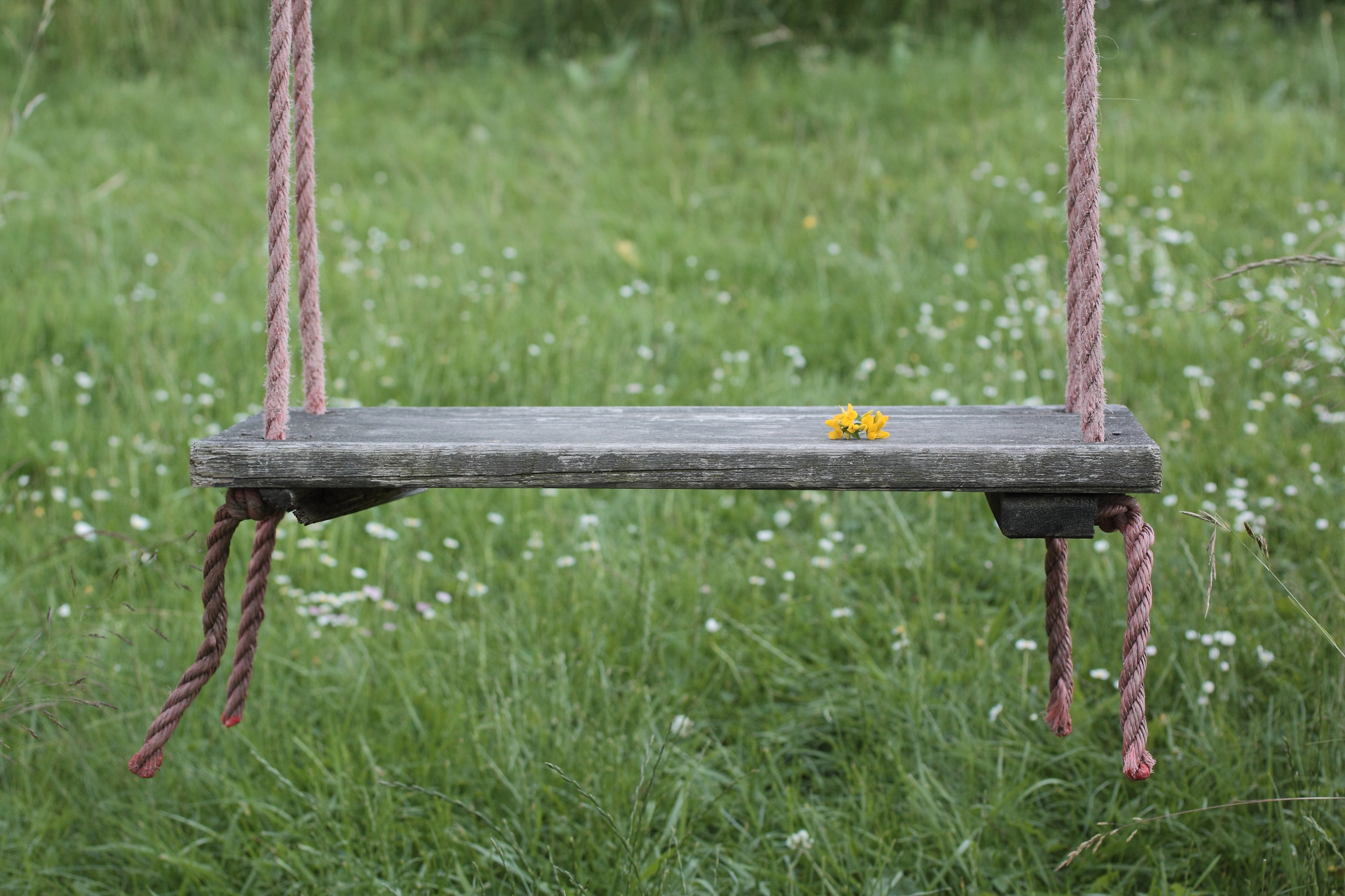 focus on foreground, park, outdoors, wood - Material, metal, no people, close-up, 4K, green color, playground, game device, grass, field, rope, nature, HD Wallpaper