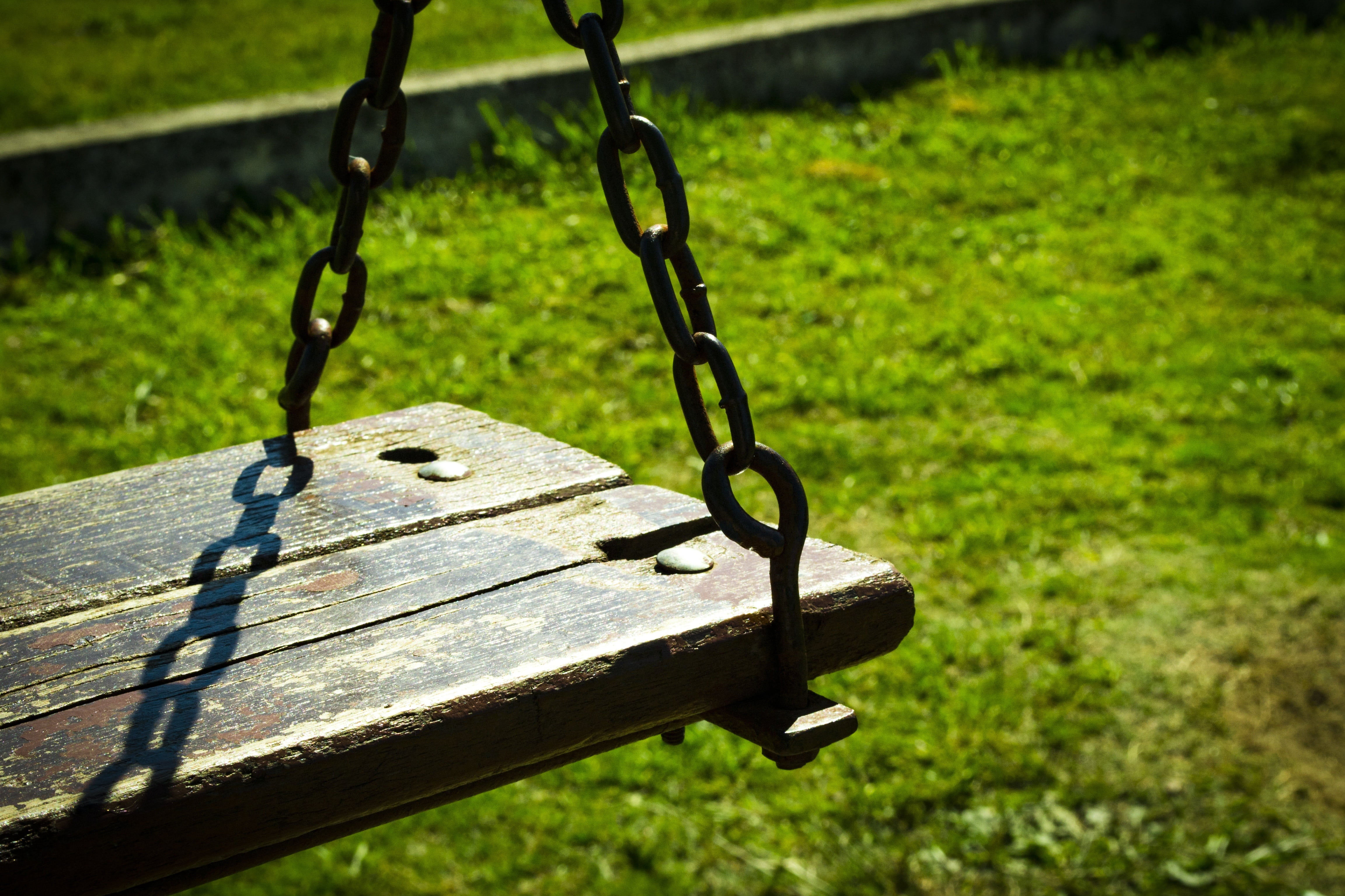 plant, oscillation, swing, metal, field, focus on foreground, wood - material, games, park bench, playground, land, hammock, no people, park - man made space, HD Wallpaper