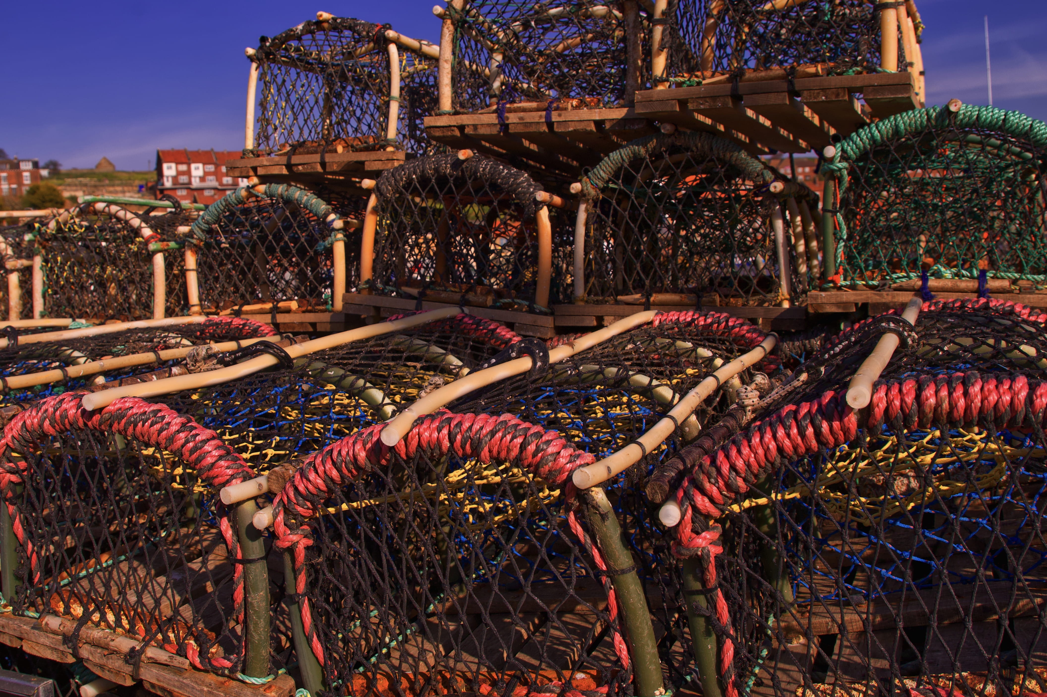 market stall, multi colored, fish, food and drink, travel destinations, market, order, arcade game machine, nets, indoor play area, choice, sea, large group of objects, HD Wallpaper