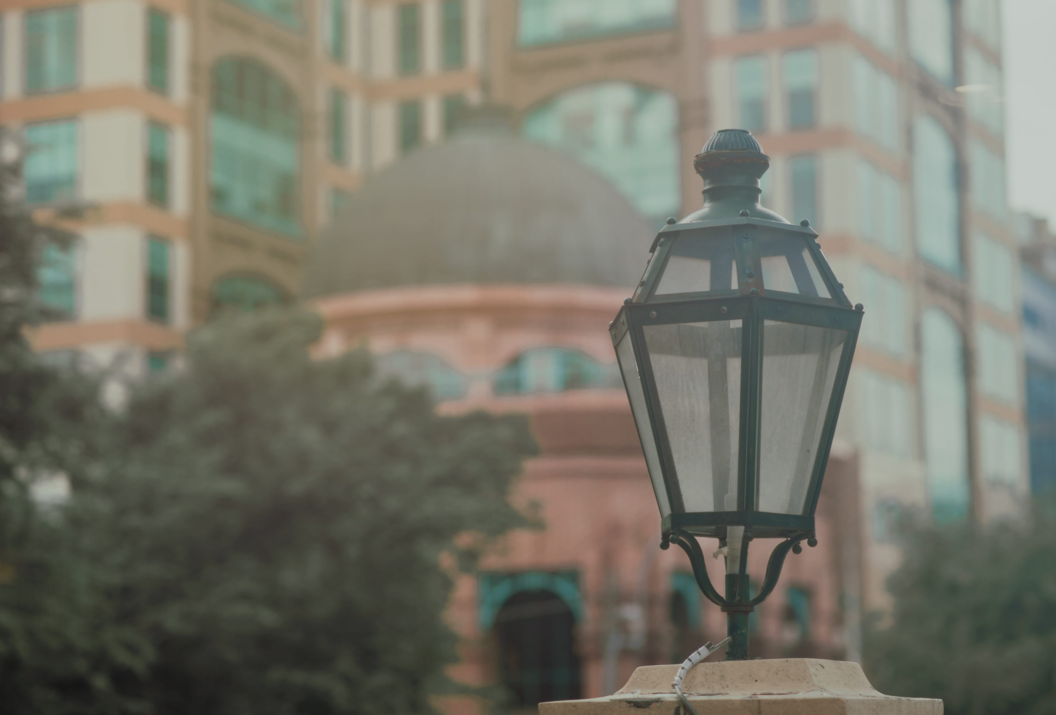 exterior, glass items, lamp, tree, 4K, black, plant, city, glass - material, built structure, building exterior, trees, urban, art, traditional, transparent, HD Wallpaper