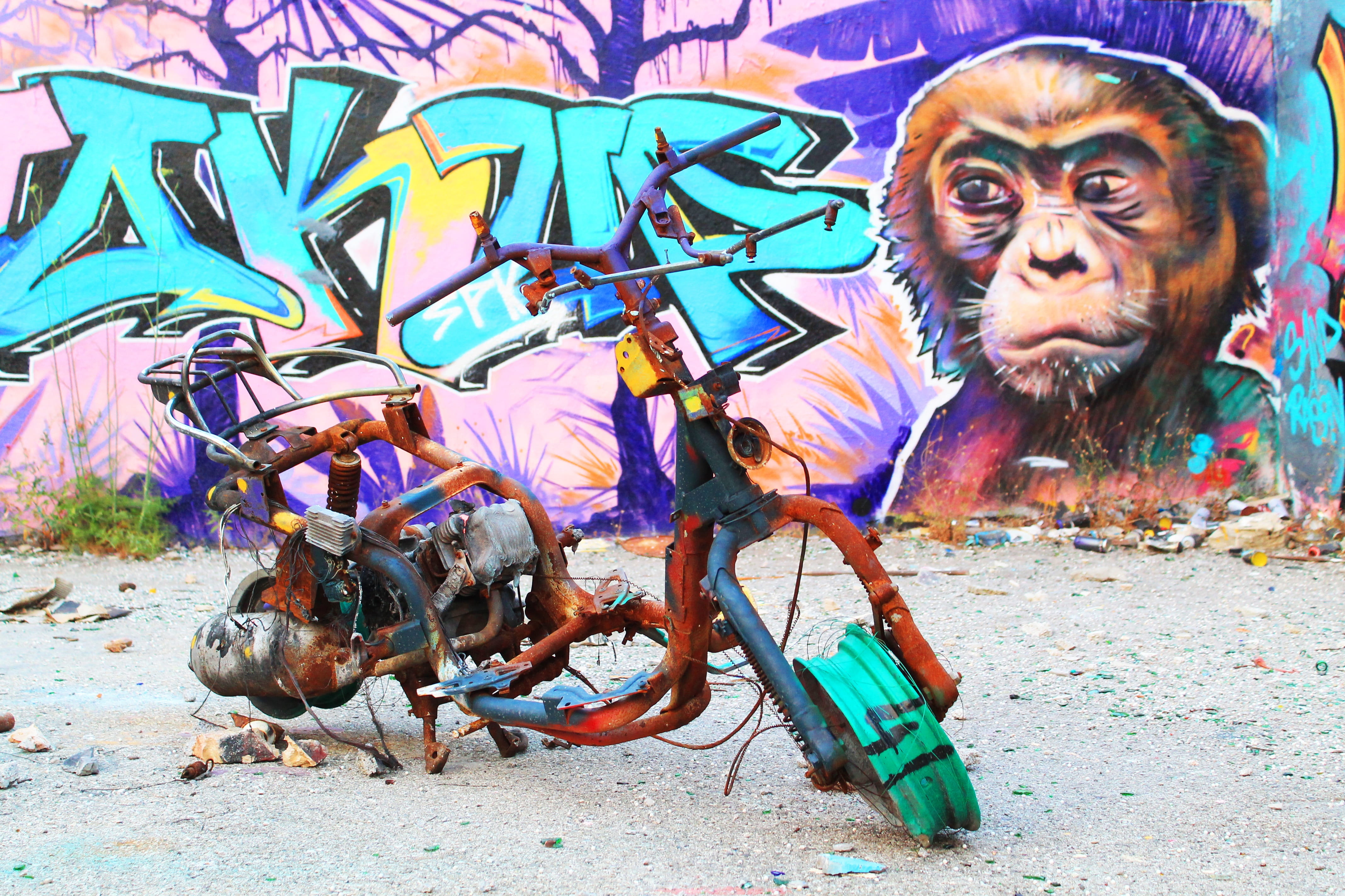 built structure, multi colored, painting, street-art, creativity, urban, mural, full length, color, wall, animal wildlife, representation, art, bomb, paint, HD Wallpaper