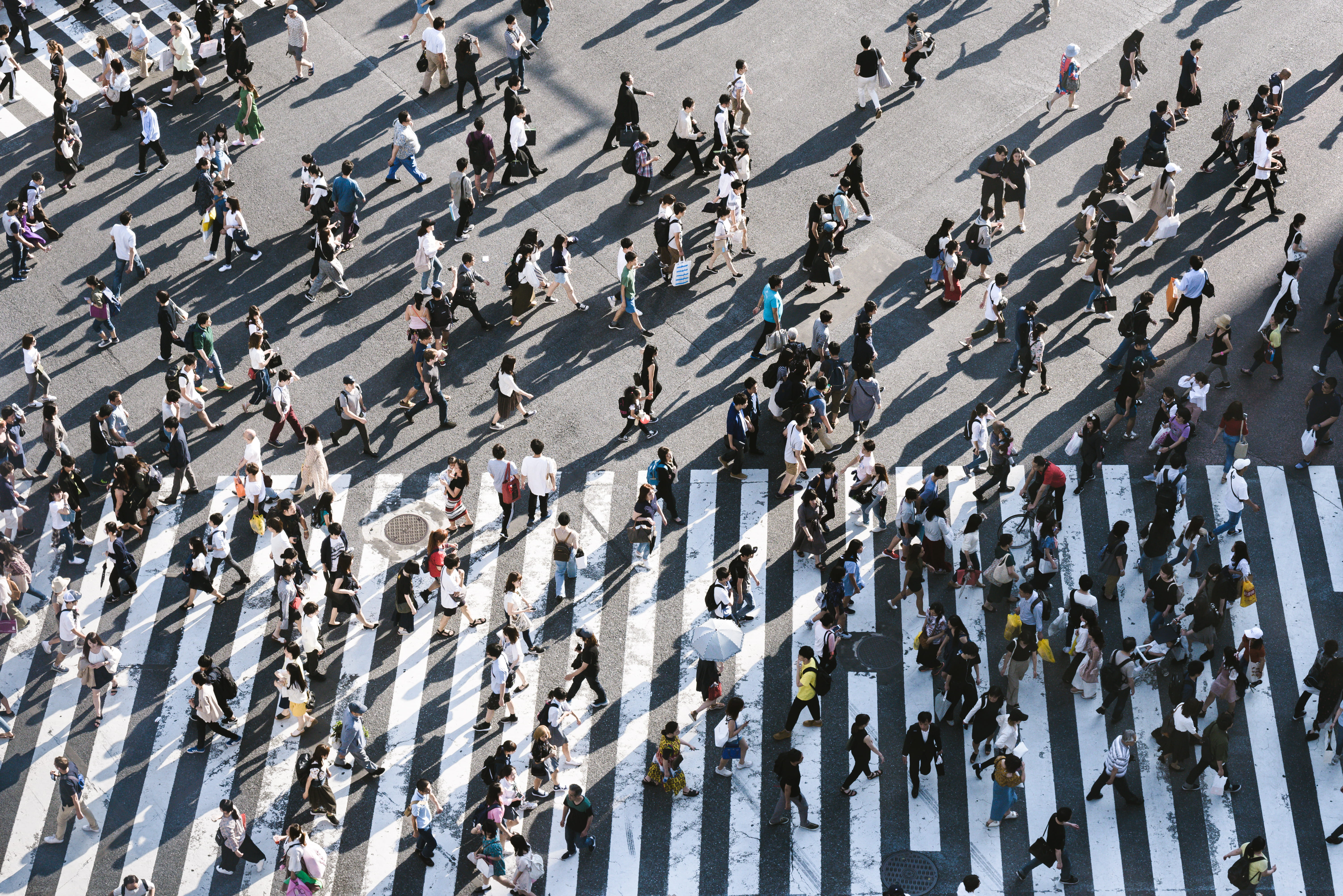 tokyo, raod, large group of people, people, city street, japan, shadow, urban, day, high angle view, walking, crowd, transportation, traffic, HD Wallpaper