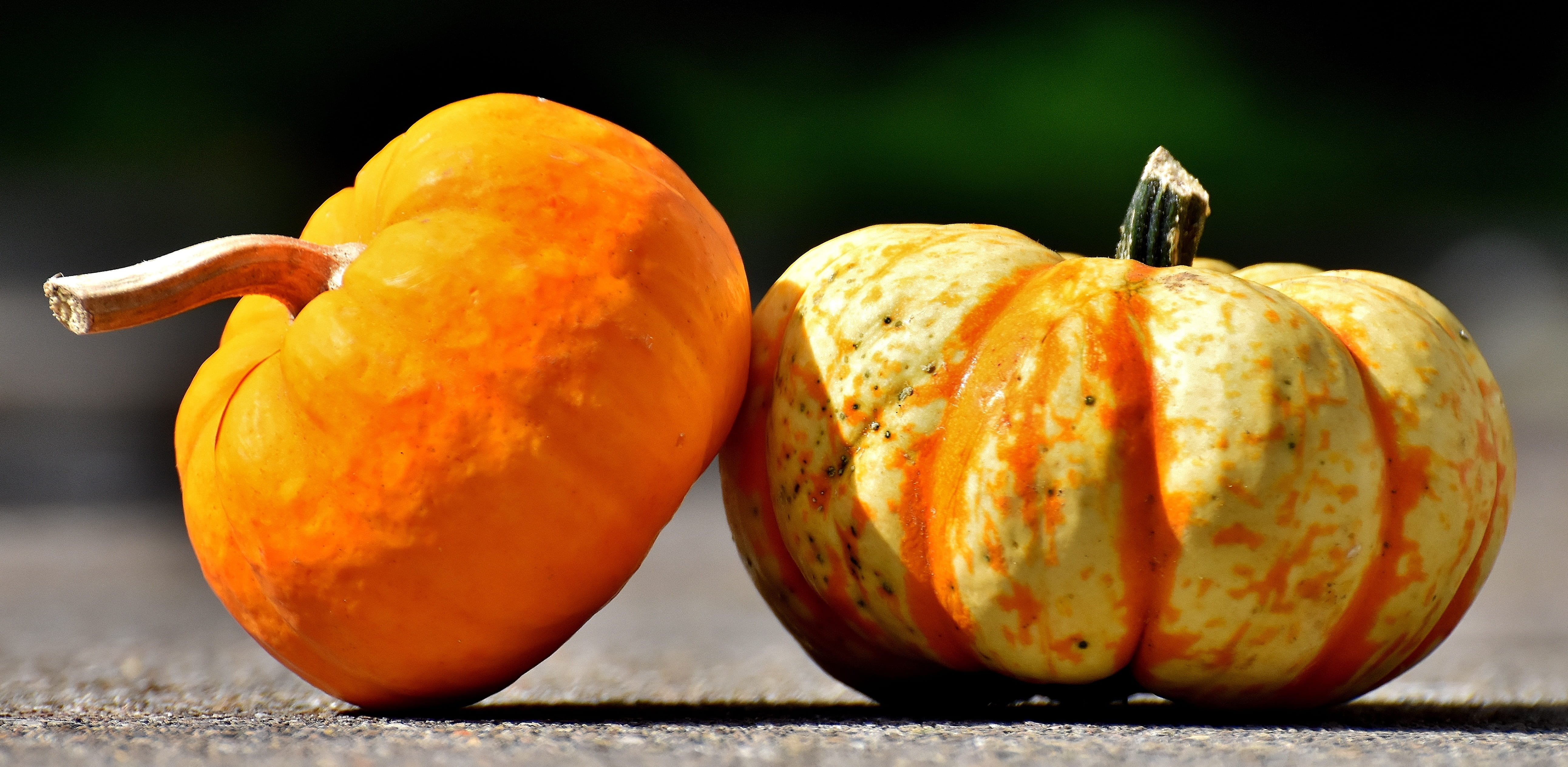 gray, celebration, food, nature, color, agriculture, decorative squashes, daytime, freshness, healthy eating, pumpkin, orange, raod, autumn decoration, HD Wallpaper
