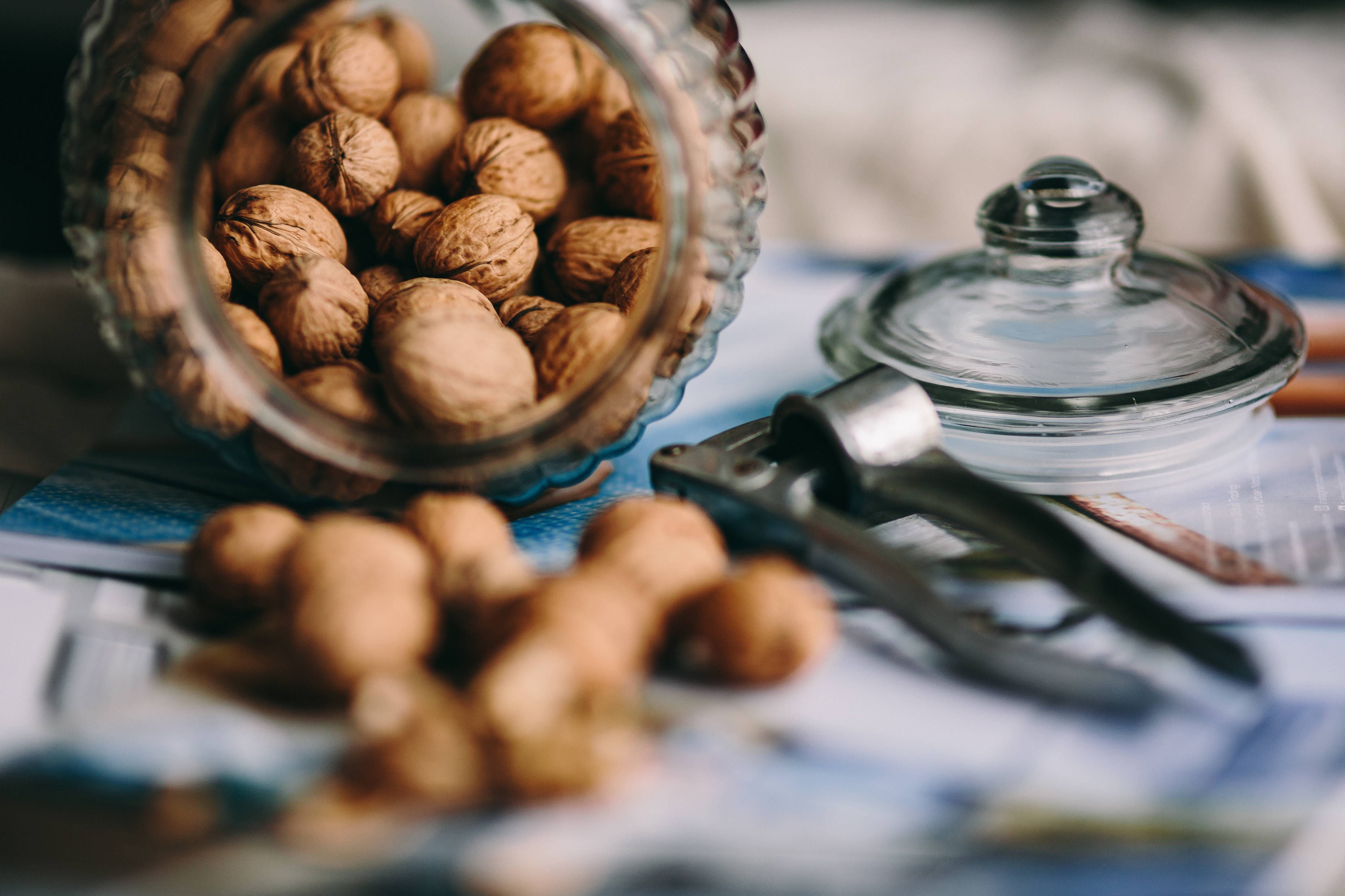 abundance, full, ingredient, healthy eating, oatmeal, fresh, active, kitchen utensil, homemade, gourmet, indoors, no people, food, muesli, high angle view, HD Wallpaper
