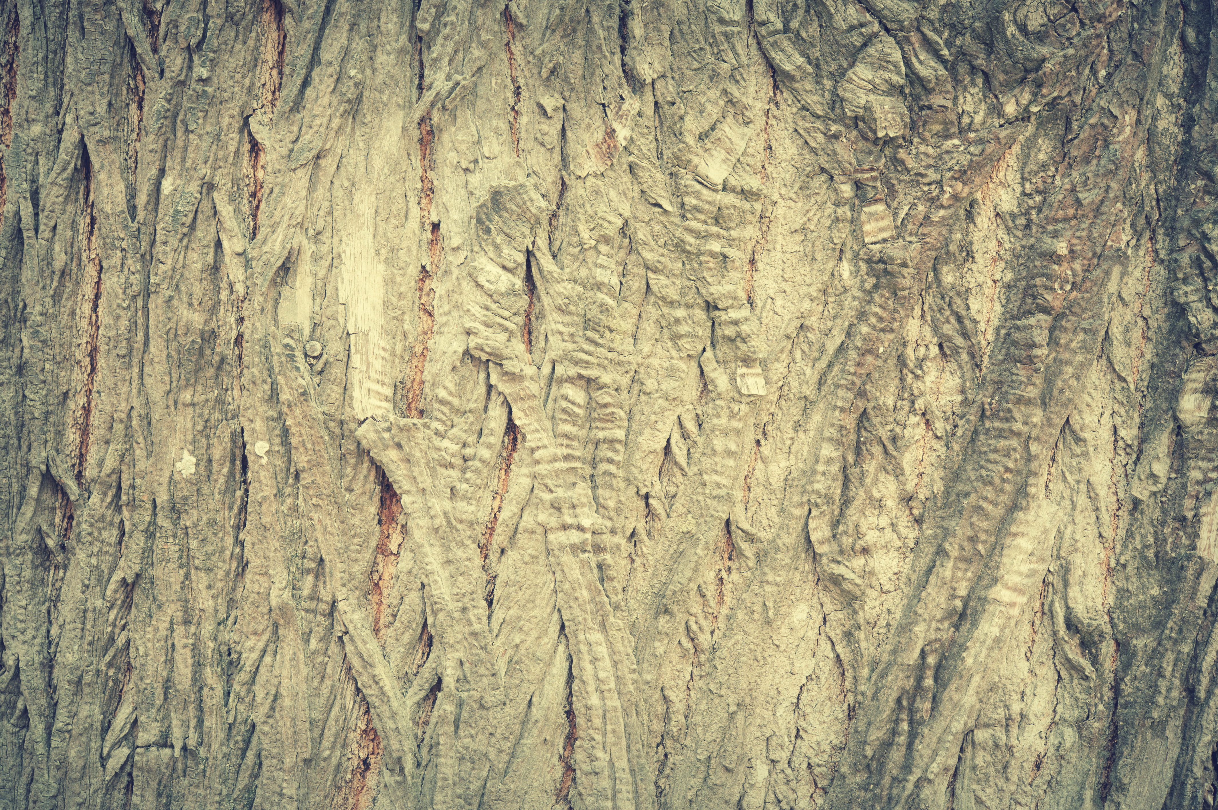 plank, rough, striped, timber, carpentry, weathered, organic, dark, pattern, panel, bark, surface, interior, wood, wooden, tree bark, hardwood, backdrop, HD Wallpaper