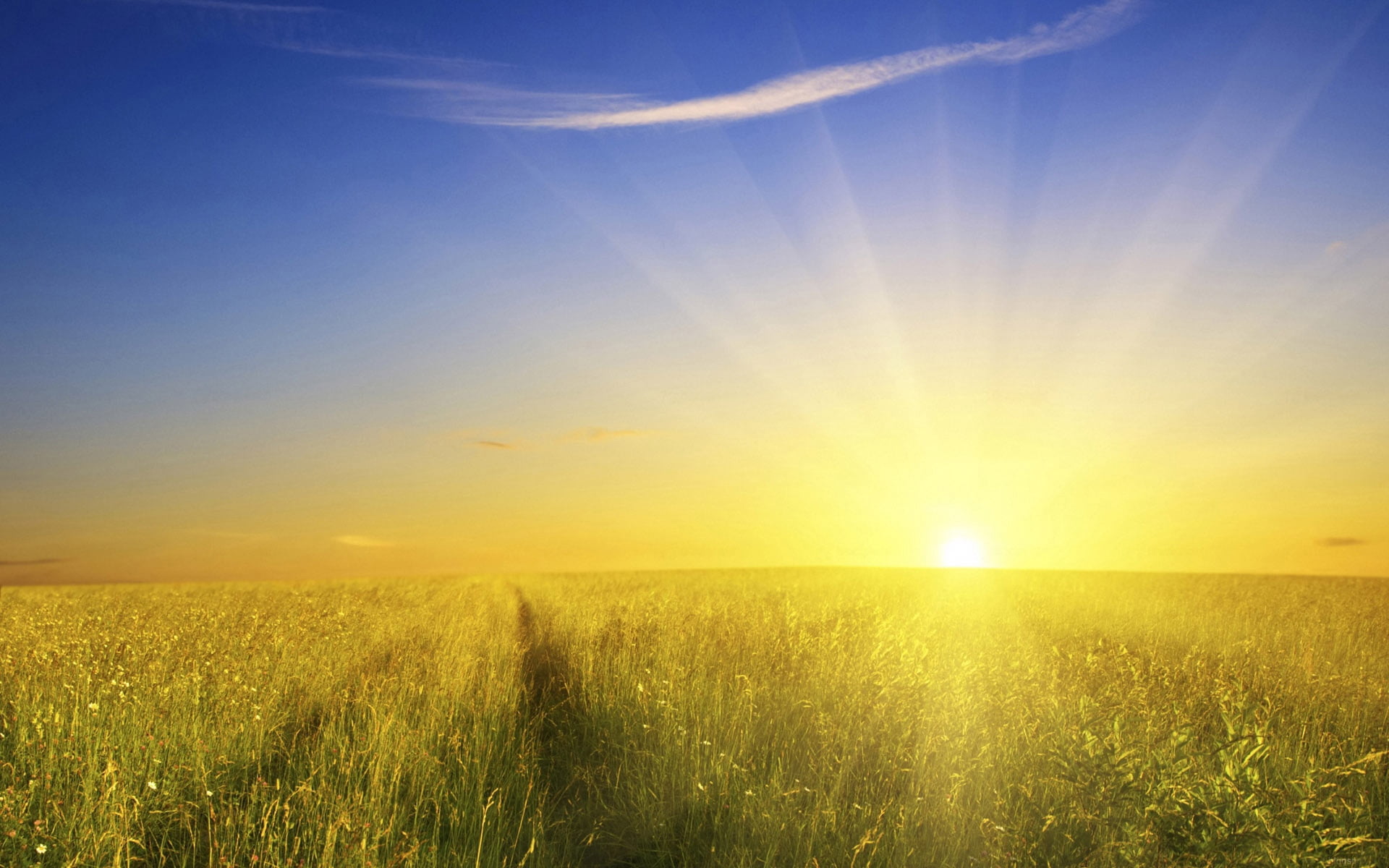scenics - nature, back Lit, sunrise - Dawn, cloud - Sky, sunbeam, gold Colored, landscape, springtime, vibrant Color, blue, dawn, land, environment, non-Urban Scene, HD Wallpaper
