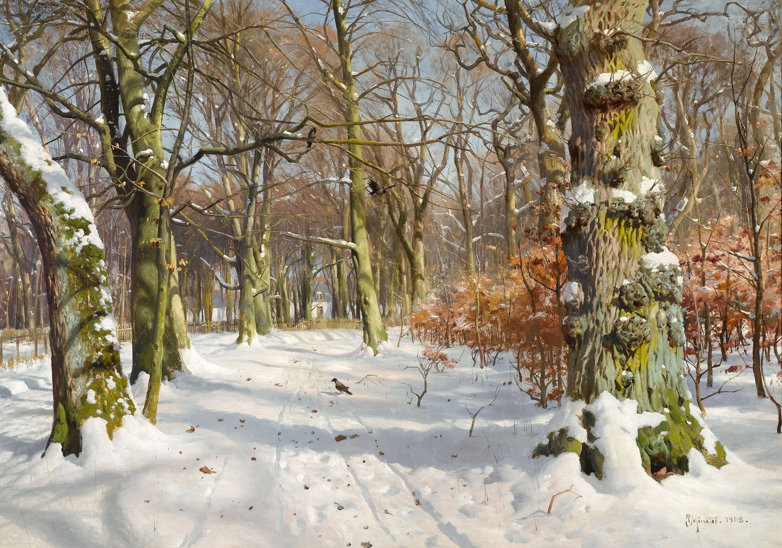 picture, cold - Temperature, nature, branch, Park, non-urban scene, outdoors, tree Trunk, day, scenics - nature, Peder Mork Monsted, forest, tranquil Scene, HD Wallpaper