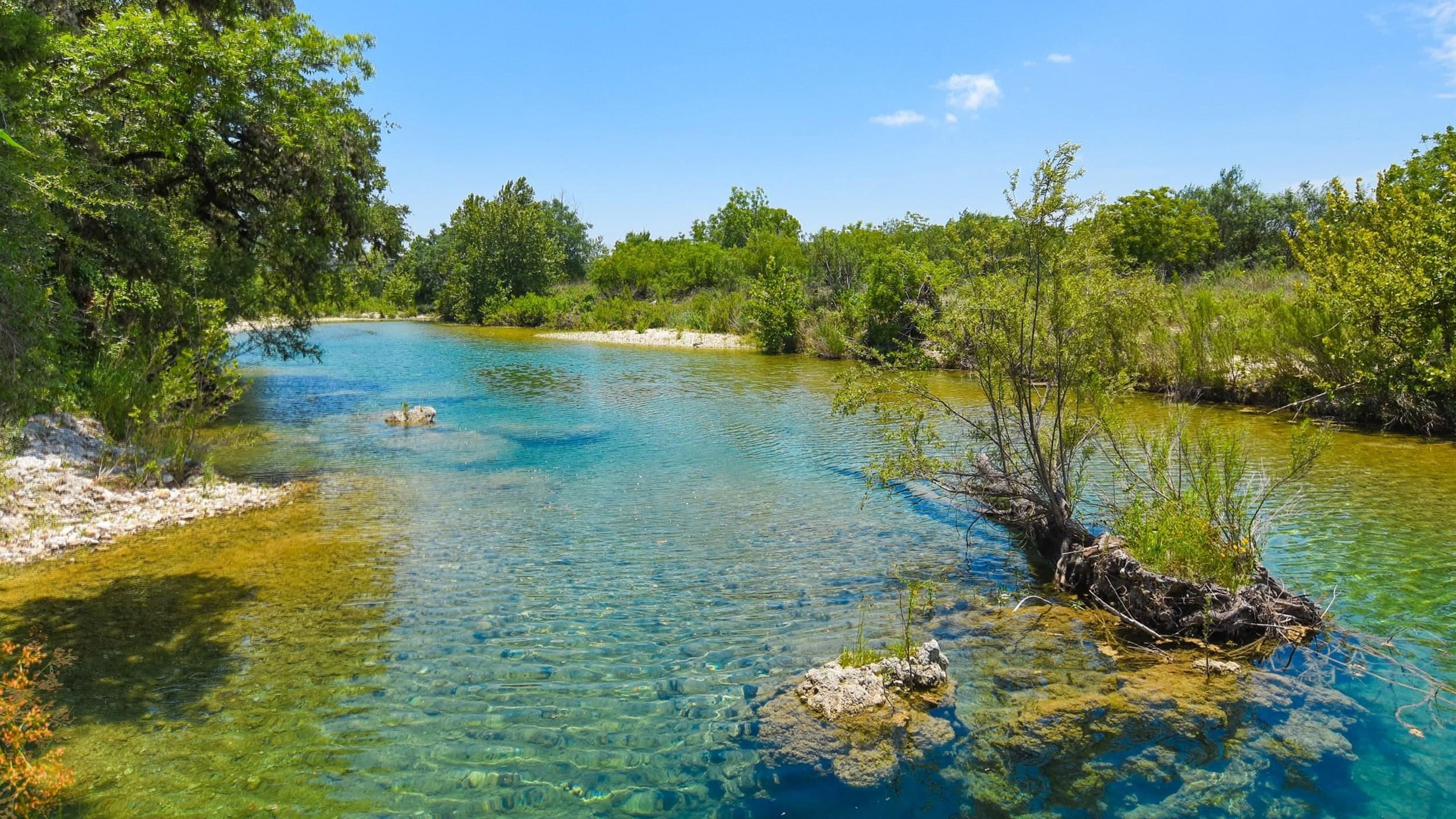 usa, landscape, river, rocks, 2K, nature, trees, frio, clear, texas, hd, gravel, water, green, HD Wallpaper