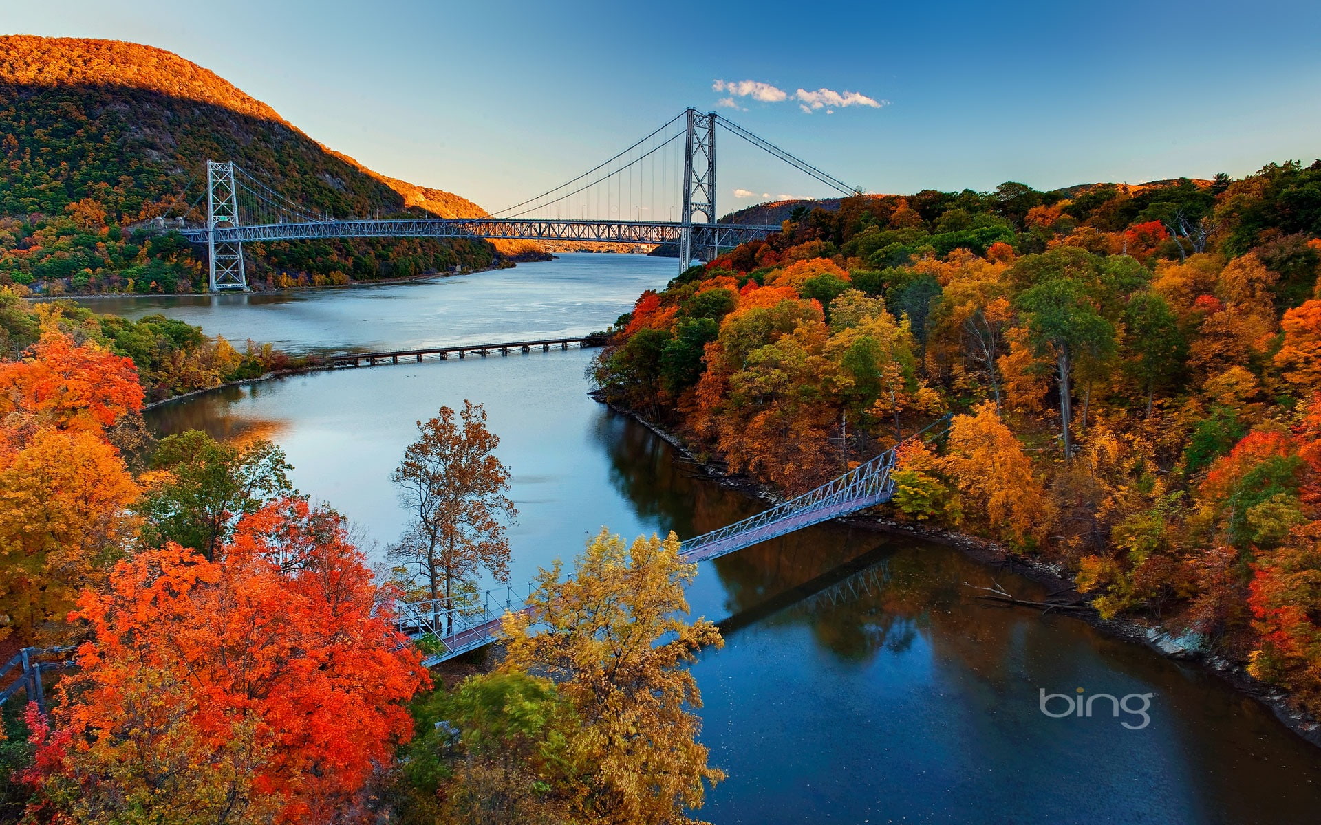 hudson, brown, autumn, nature, connection, water, river, sky, 1080P, beauty in nature, trees, tree, suspension bridge, leafed, plant, built structure, HD Wallpaper