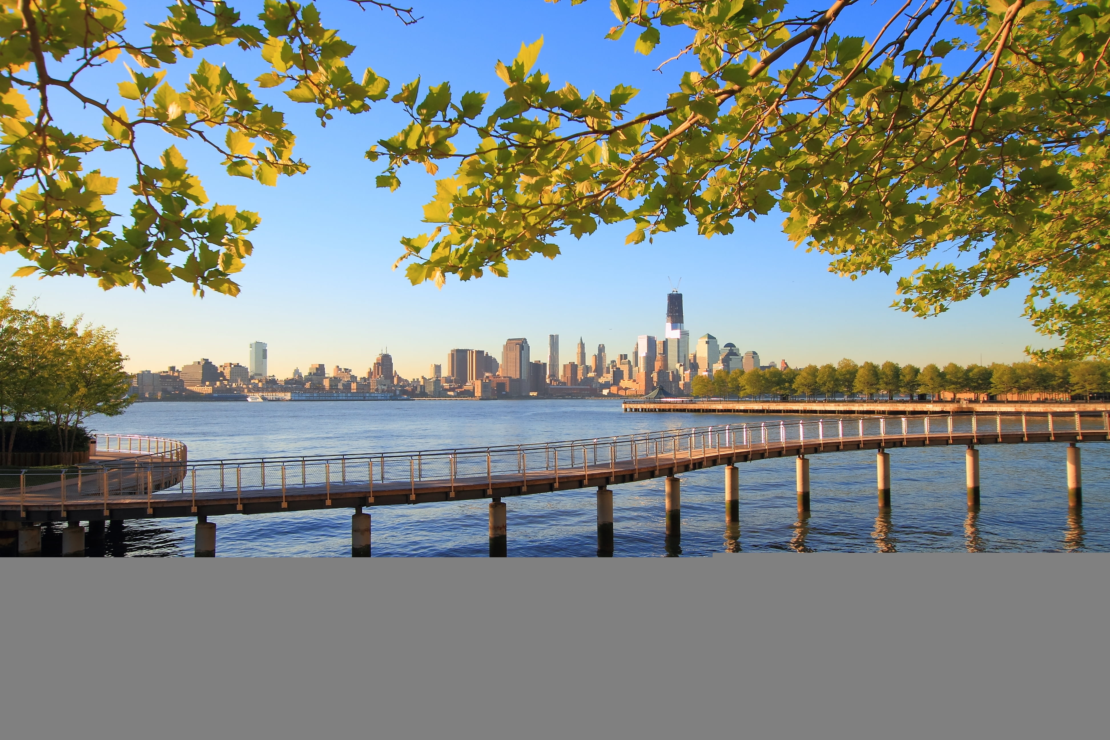 dusk, branches, famous Place, tower, urban Scene, water, plant, office building exterior, downtown District, clear sky, nature, trees, marina, new york, HD Wallpaper