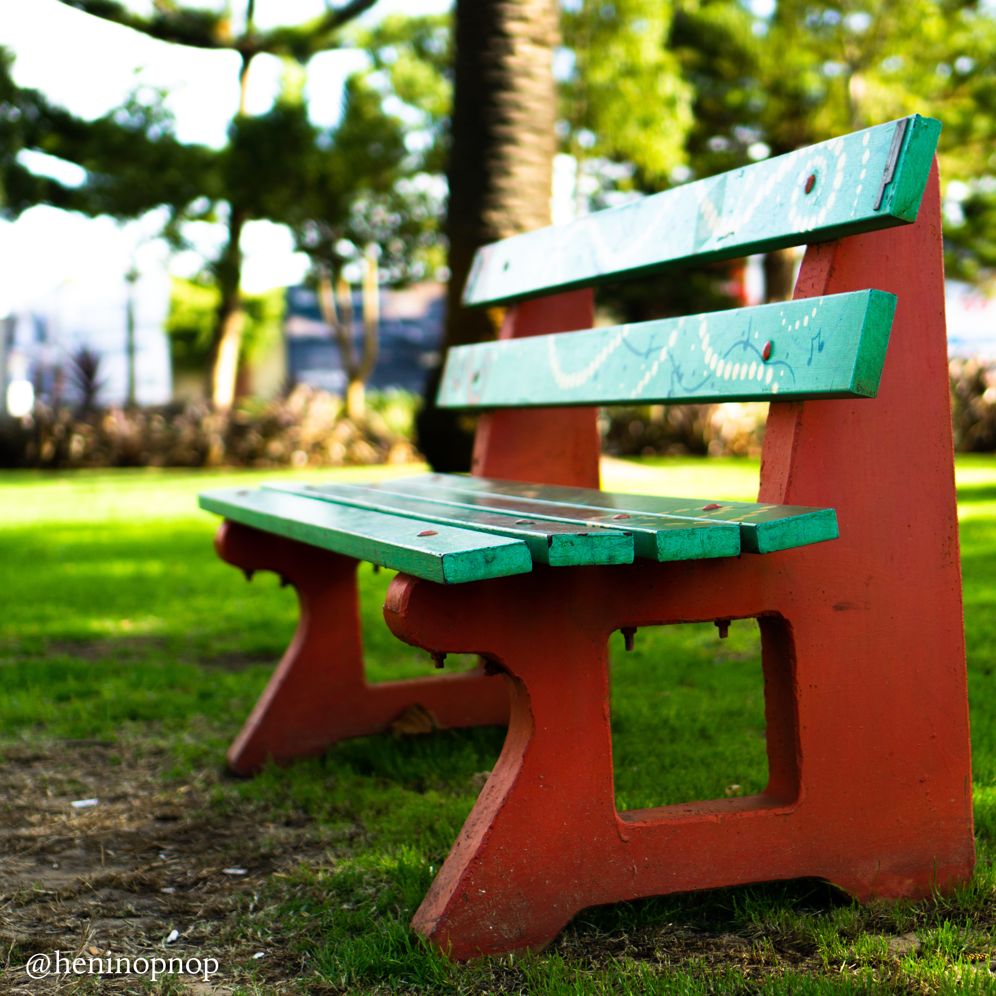 focus on foreground, park - man made space, nature, table, tree, 4K, empty, seat, land, australia, perth, red, day, grass, green, fremantle, green color, Phone HD Wallpaper