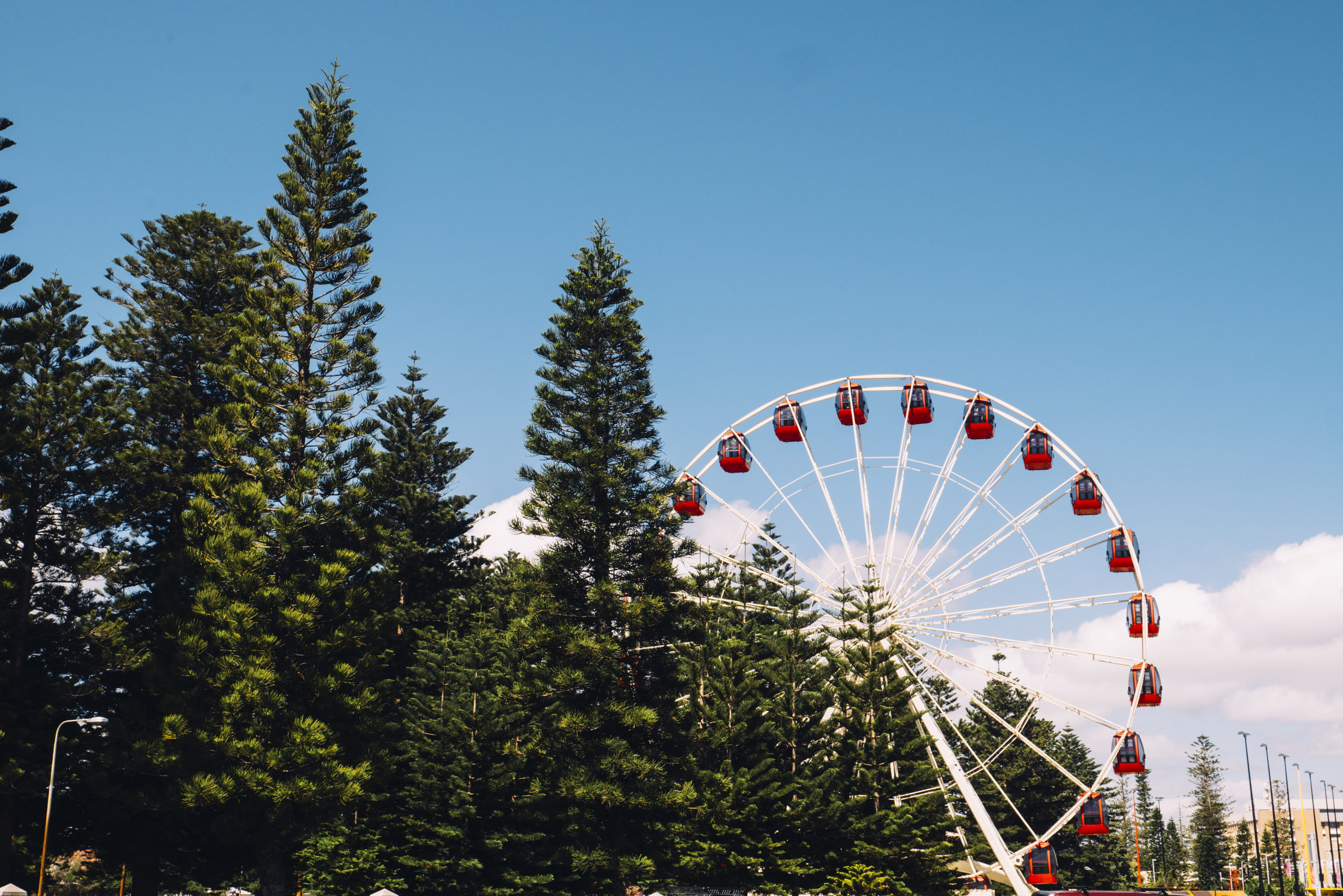 tree, green color, fremantle, 4K, plant, sky, transportation, nature, fremantle park, ferris wheel, growth, arts culture and entertainment, architecture, HD Wallpaper
