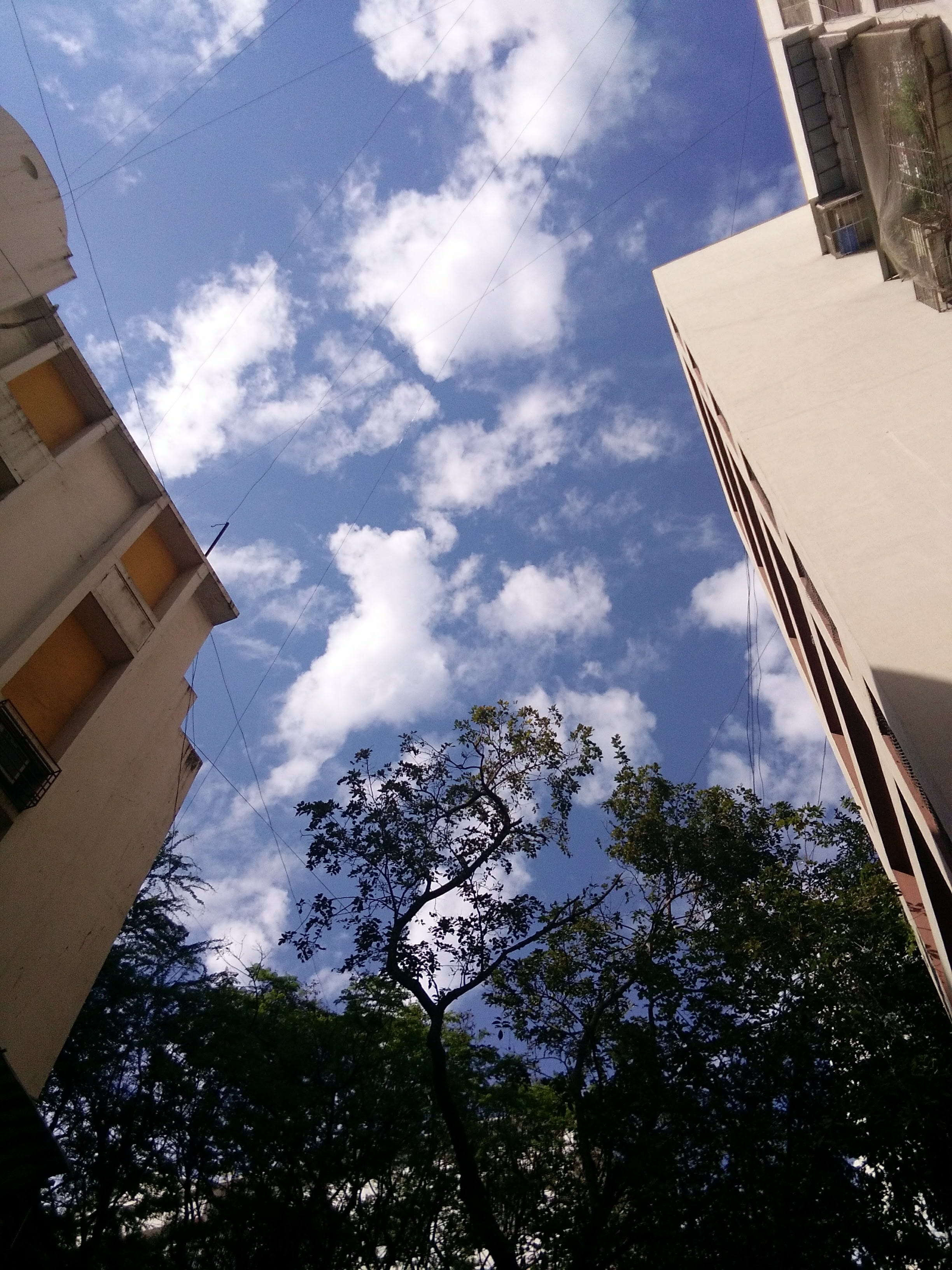 blue, directly below, building, architecture, growth, india, building exterior, city, tower, sunlight, residential district, blue sky, nature, mumbai, tree, Phone HD Wallpaper